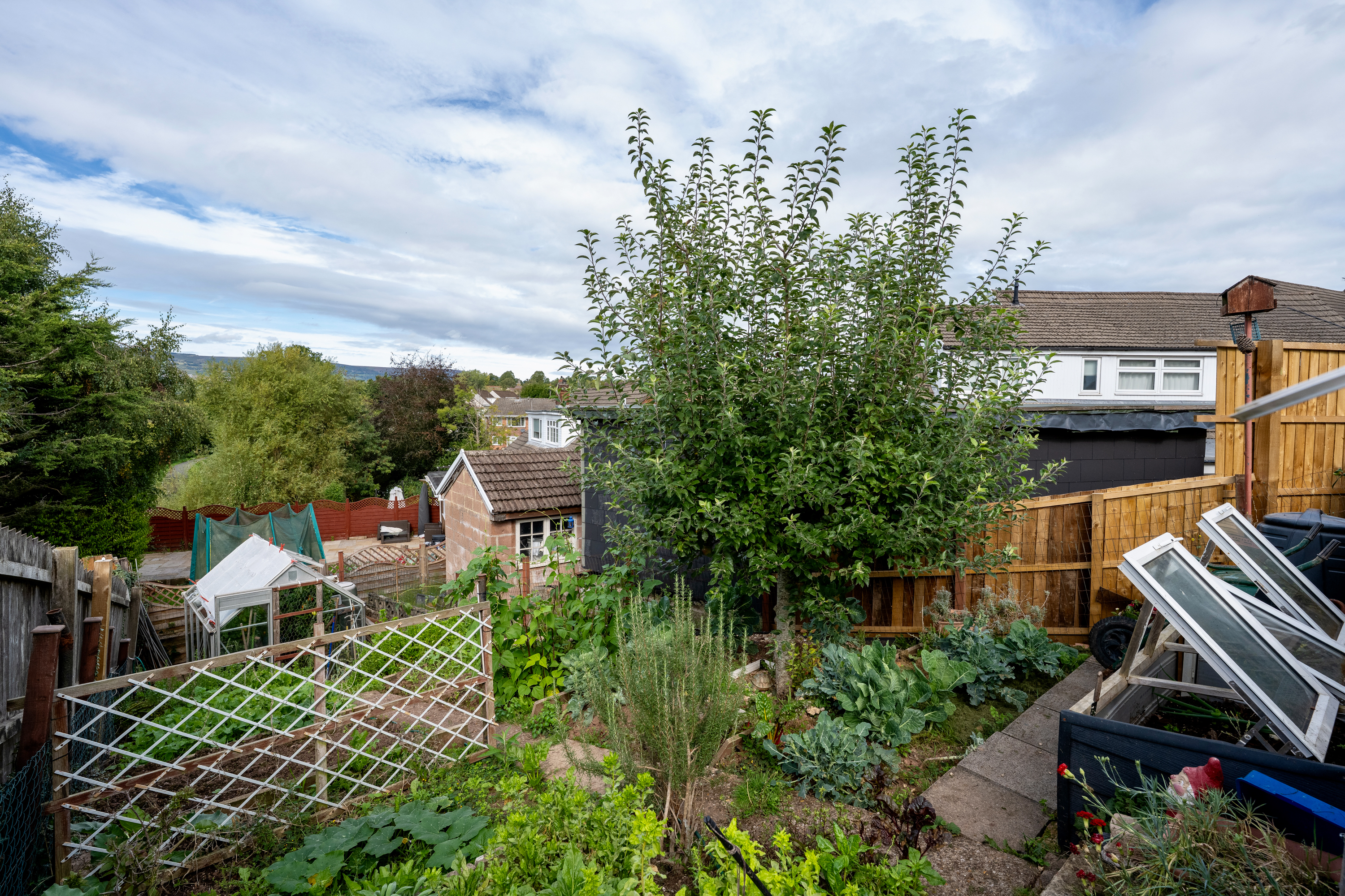 Property image 45