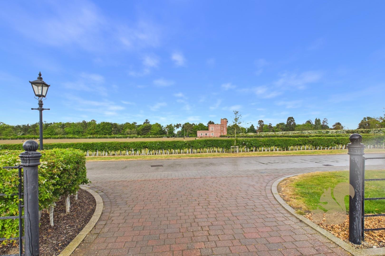 19685053_274049367