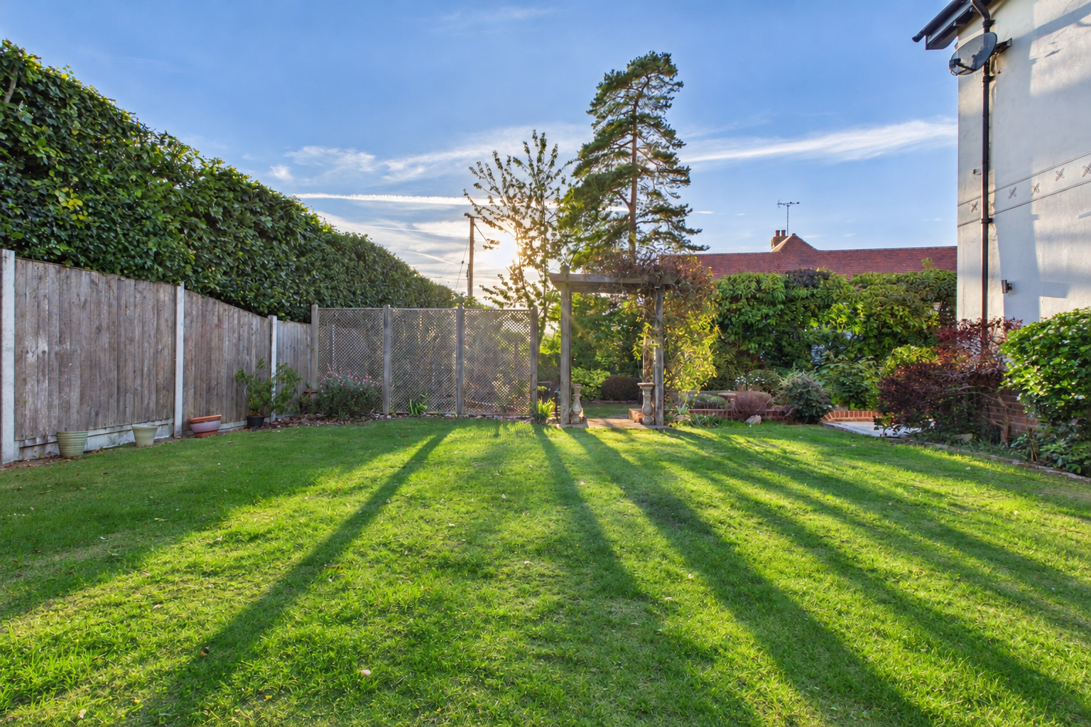Golden Hour Suburban Garden Lawn