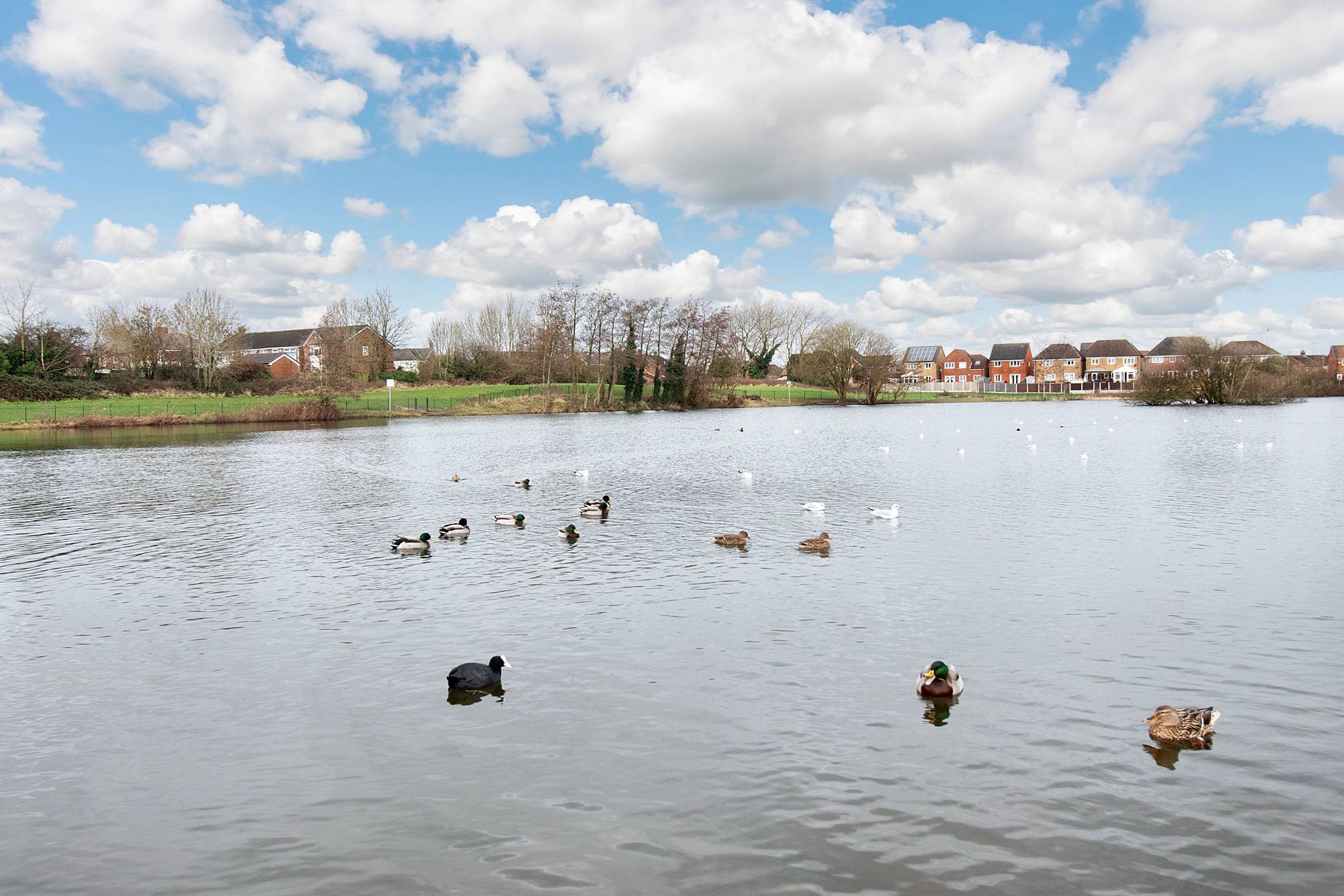 Salhouse Gardens, St. Helens