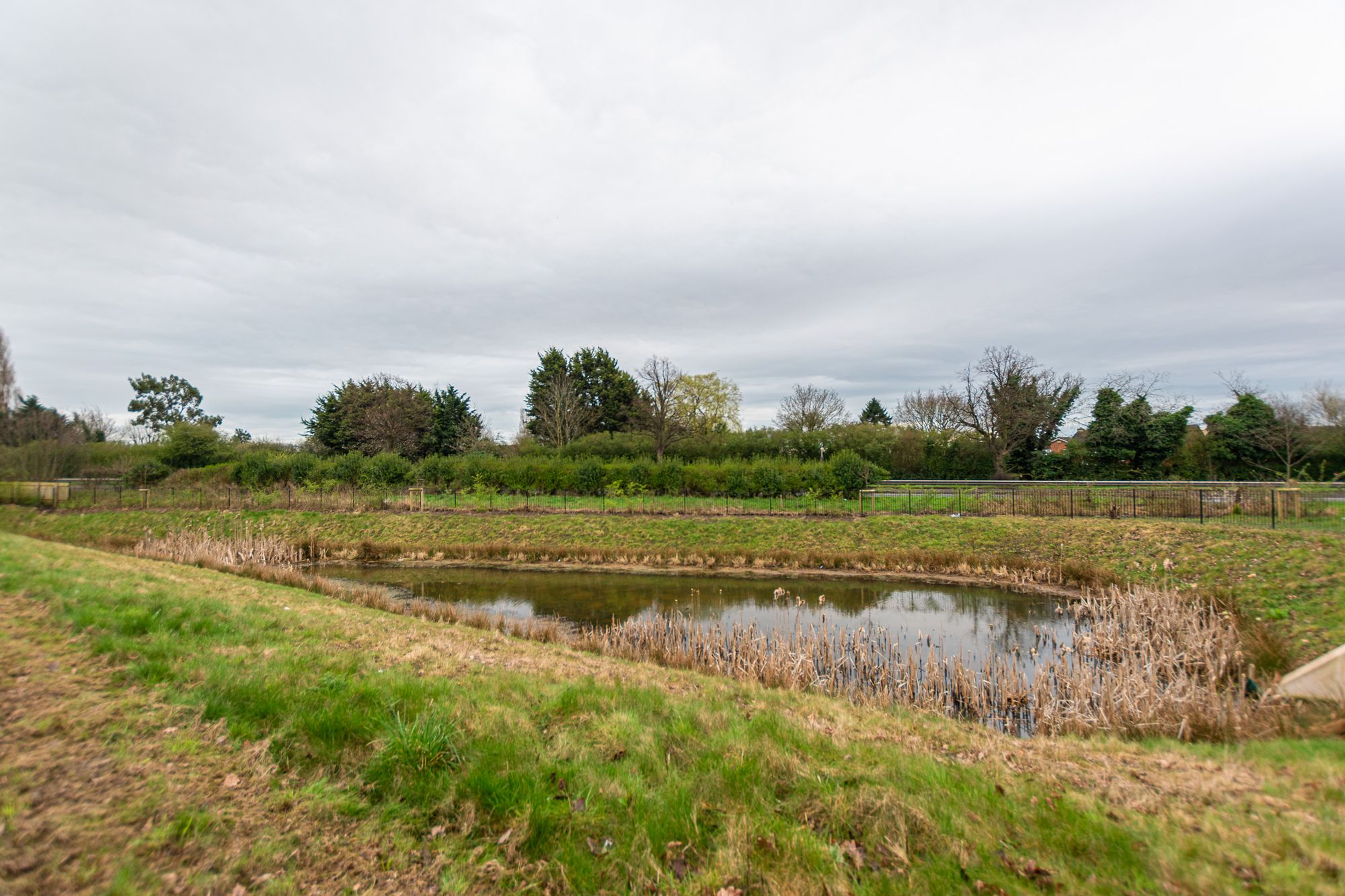 Thompson Farm Meadow, Warrington