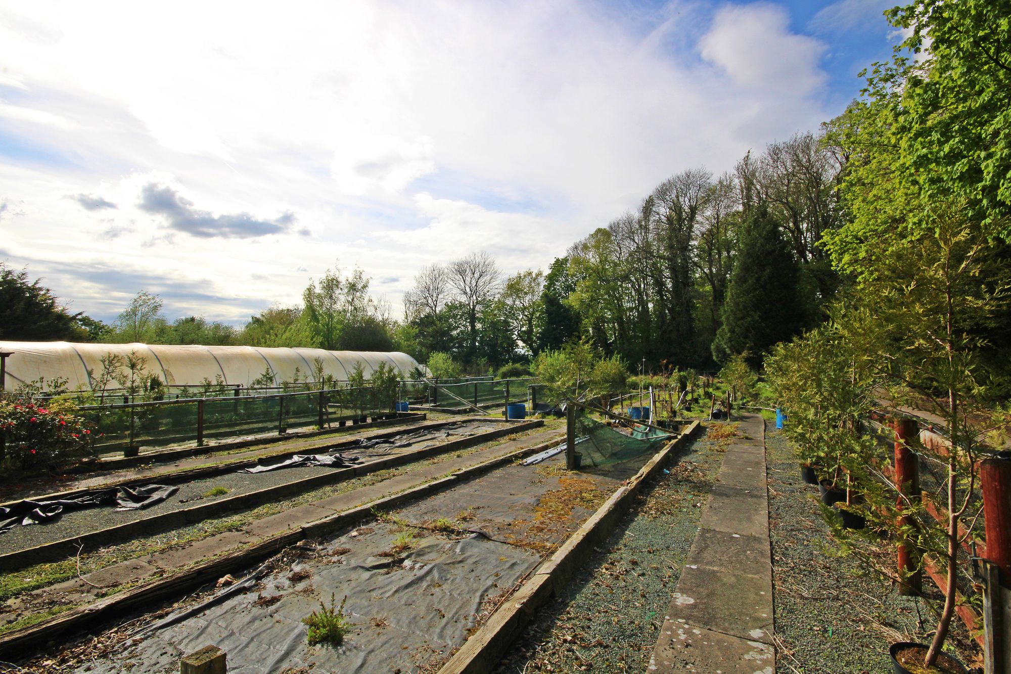 Kenyon Lane Nurseries, Kenyon Lane, Warrington