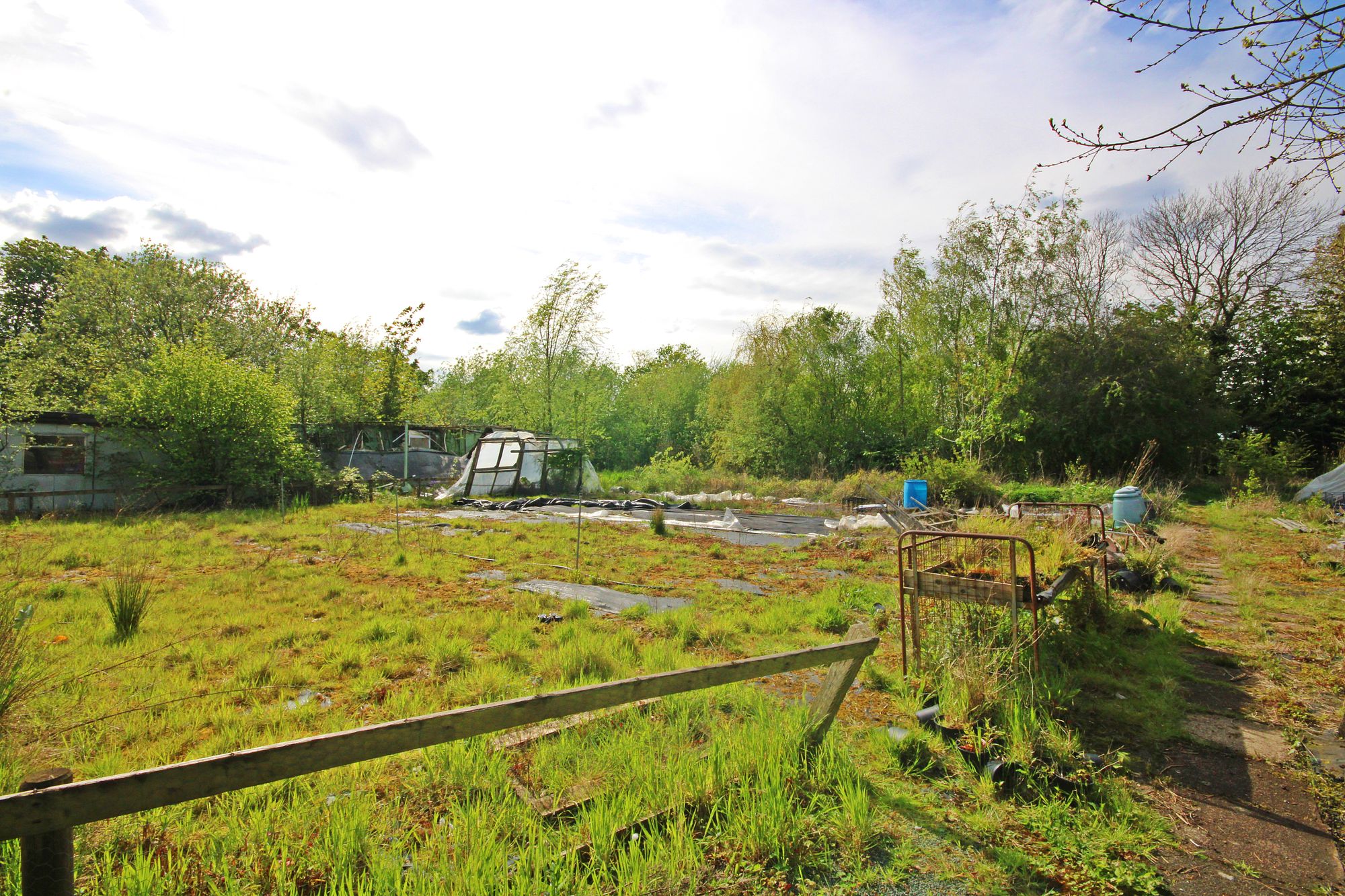 Kenyon Lane Nurseries, Kenyon Lane, Warrington