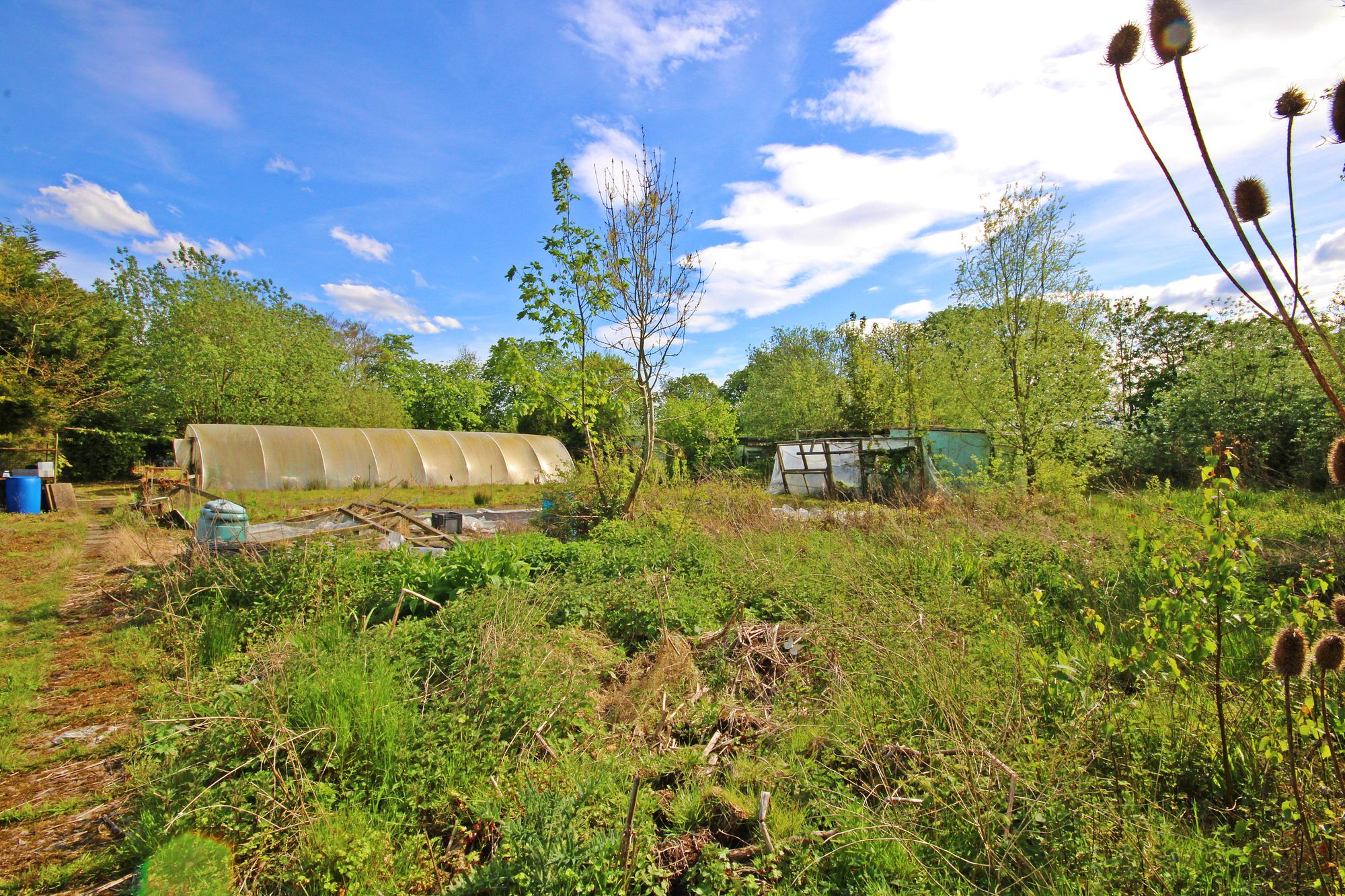 Kenyon Lane Nurseries, Kenyon Lane, Warrington