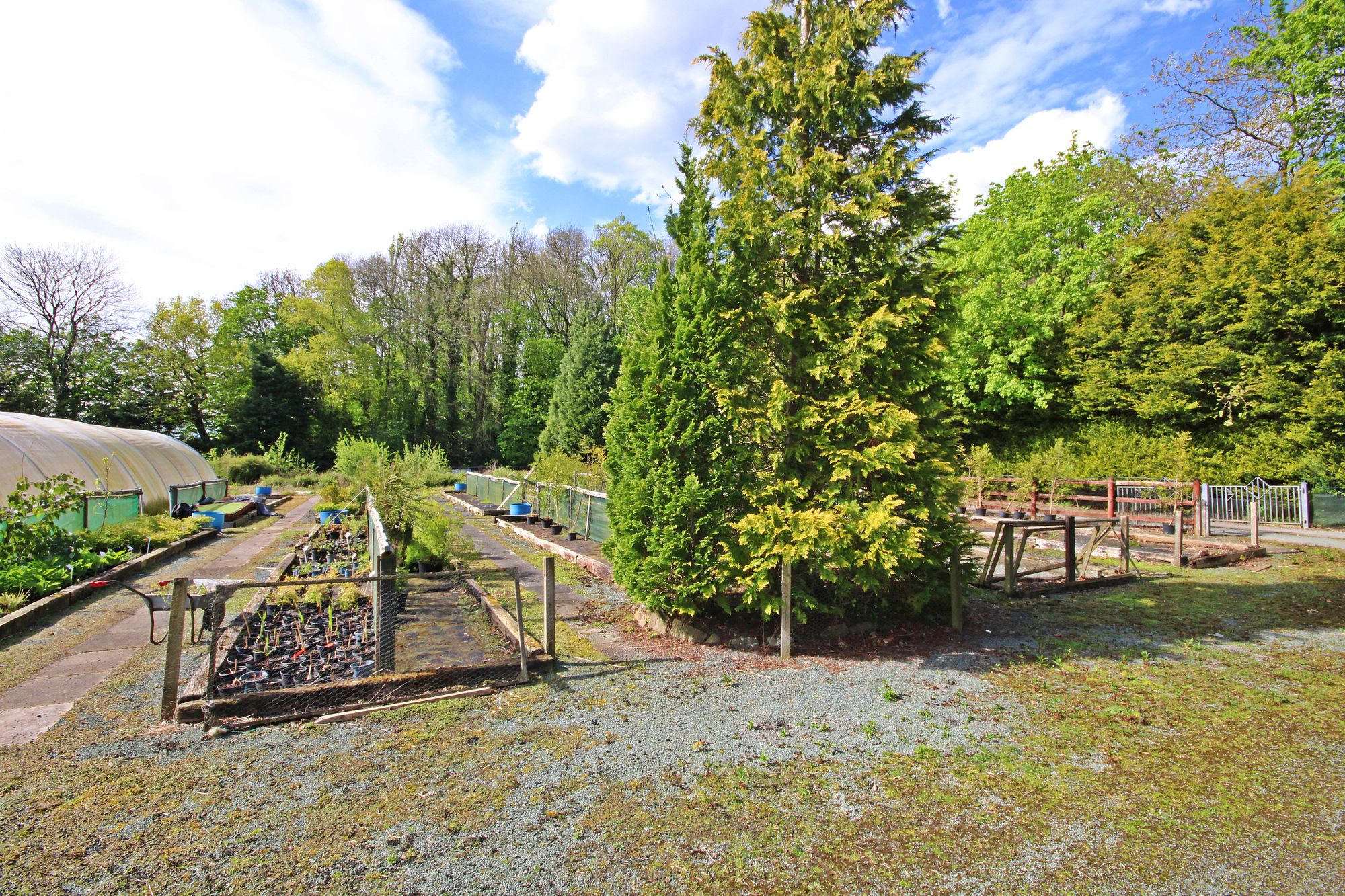 Kenyon Lane Nurseries, Kenyon Lane, Warrington