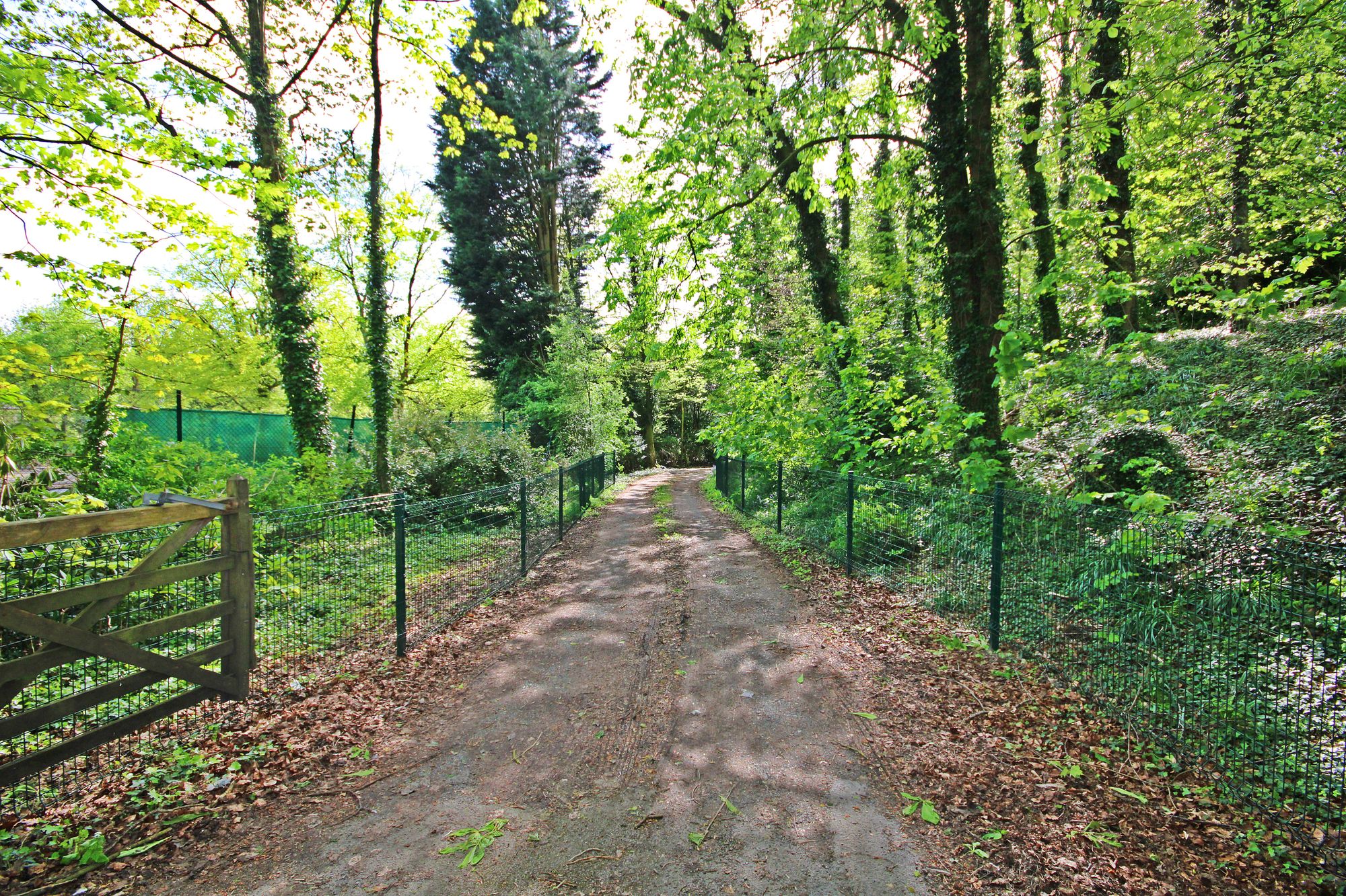 Kenyon Lane Nurseries, Kenyon Lane, Warrington