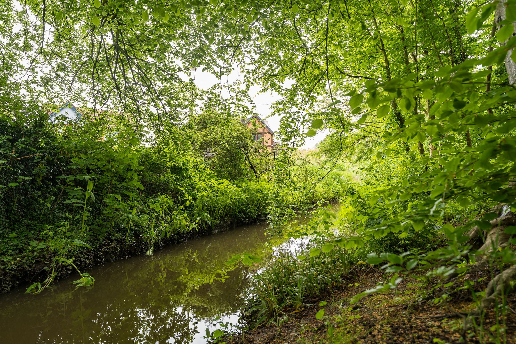 Calmington Lane, Runcorn