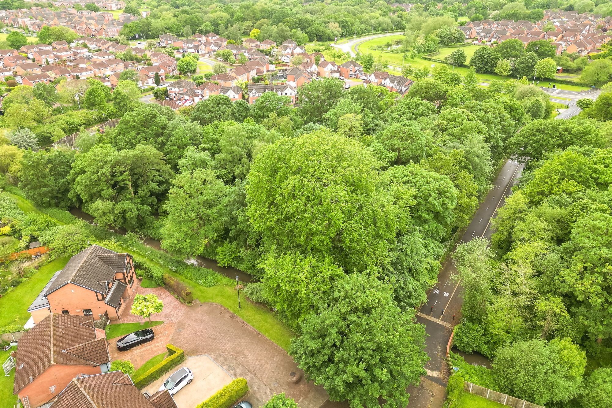 Calmington Lane, Runcorn