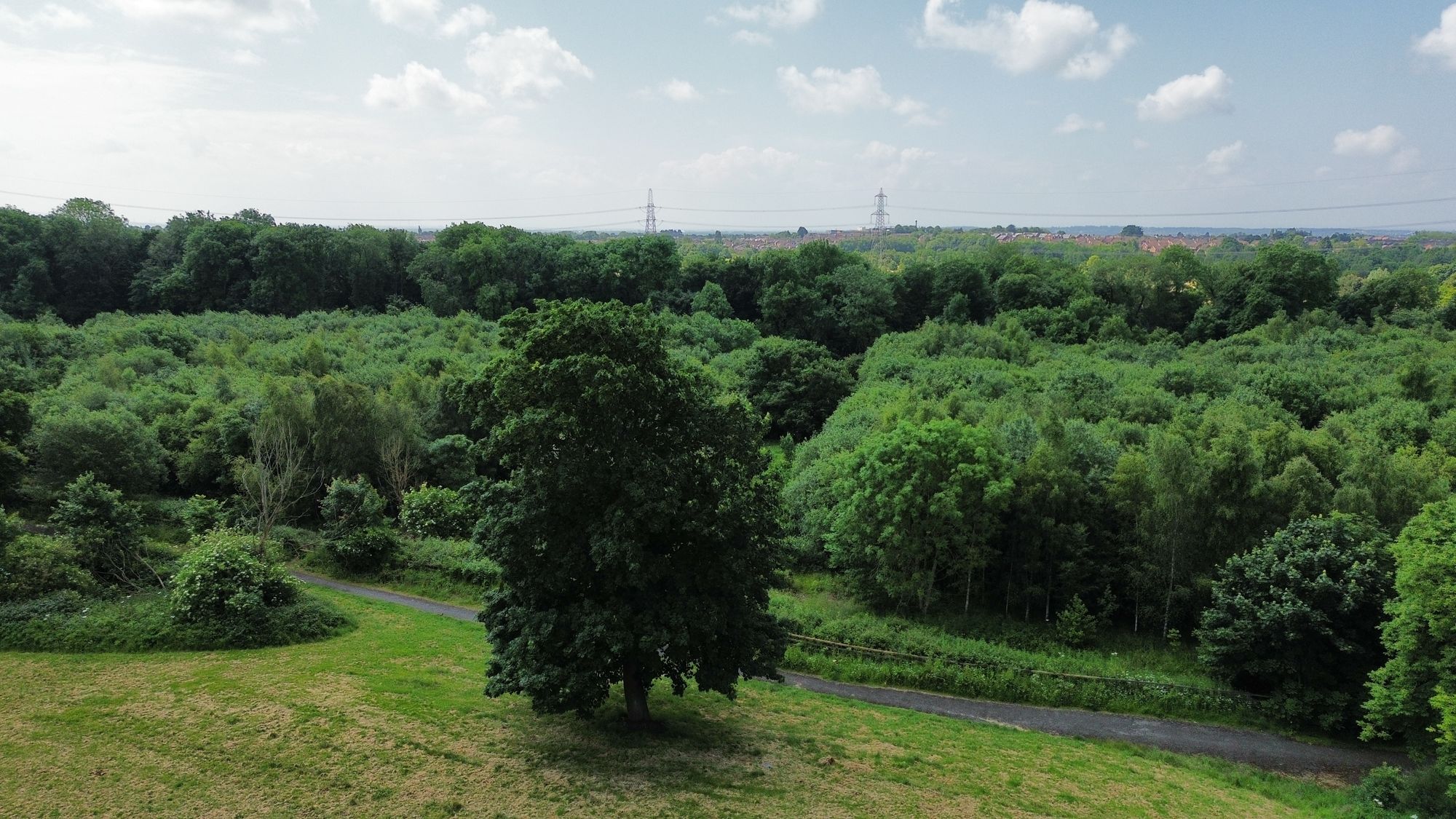 Wildcherry Gardens, St. Helens