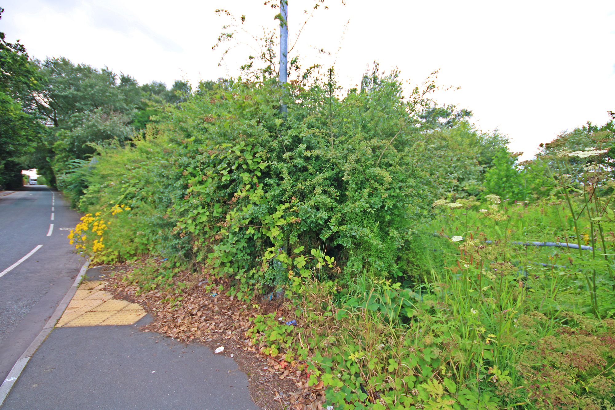 Land at the North side of, Warrington Road, Bold Heath