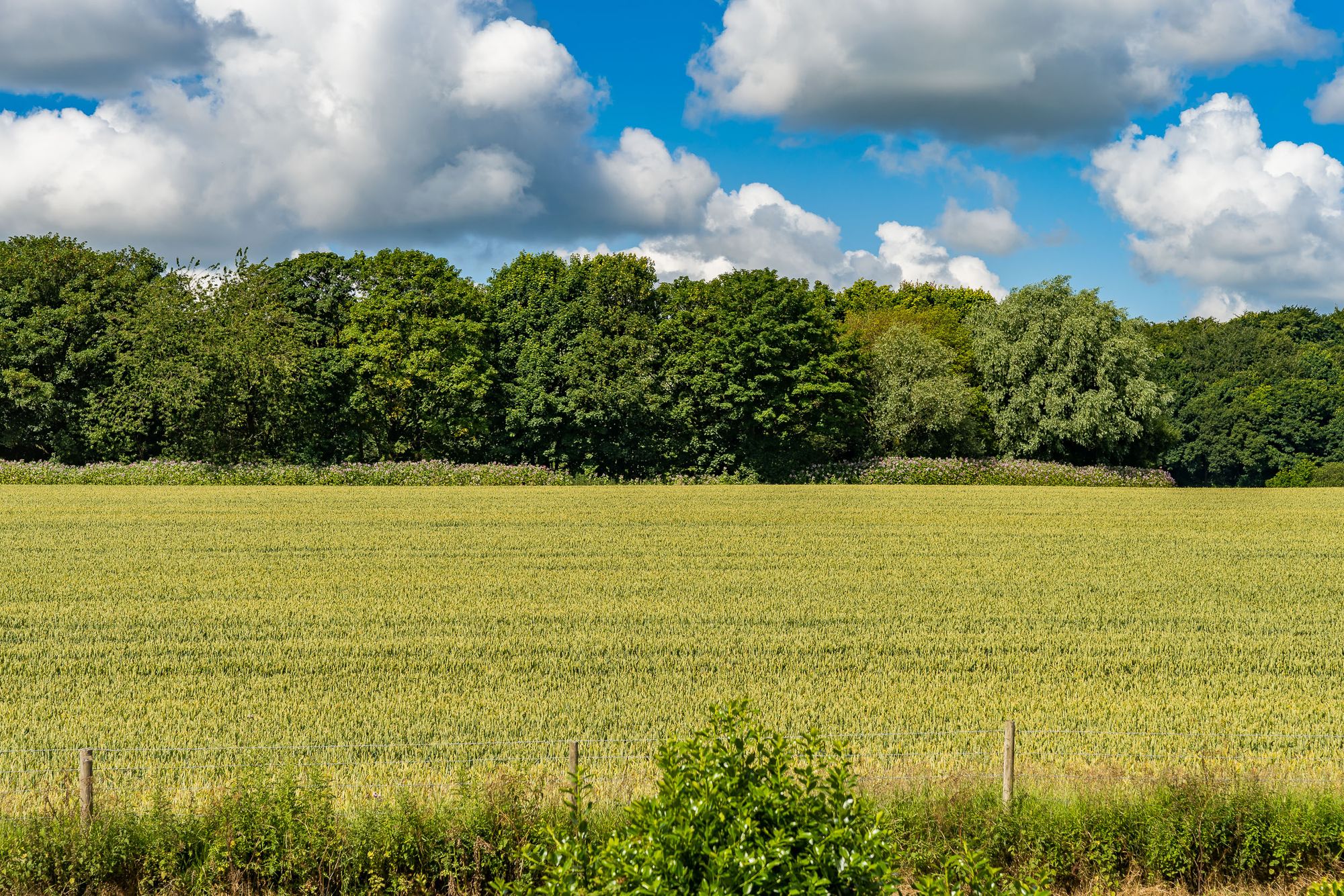 Torquay Drive, Billinge, WN5