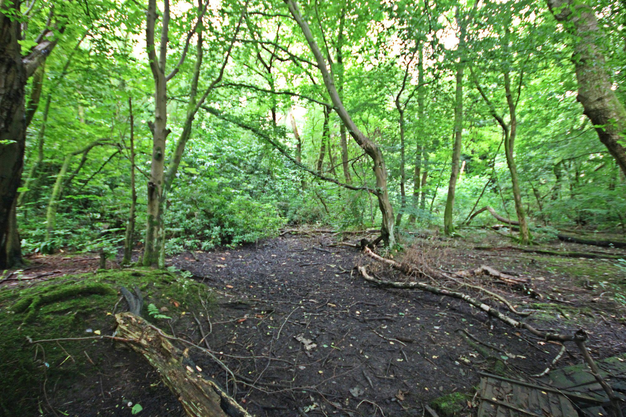 Land at the North side of, Warrington Road, Bold Heath