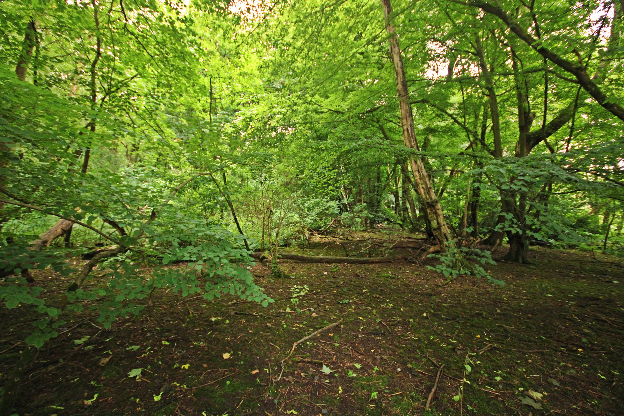 Land at the North side of, Warrington Road, Bold Heath