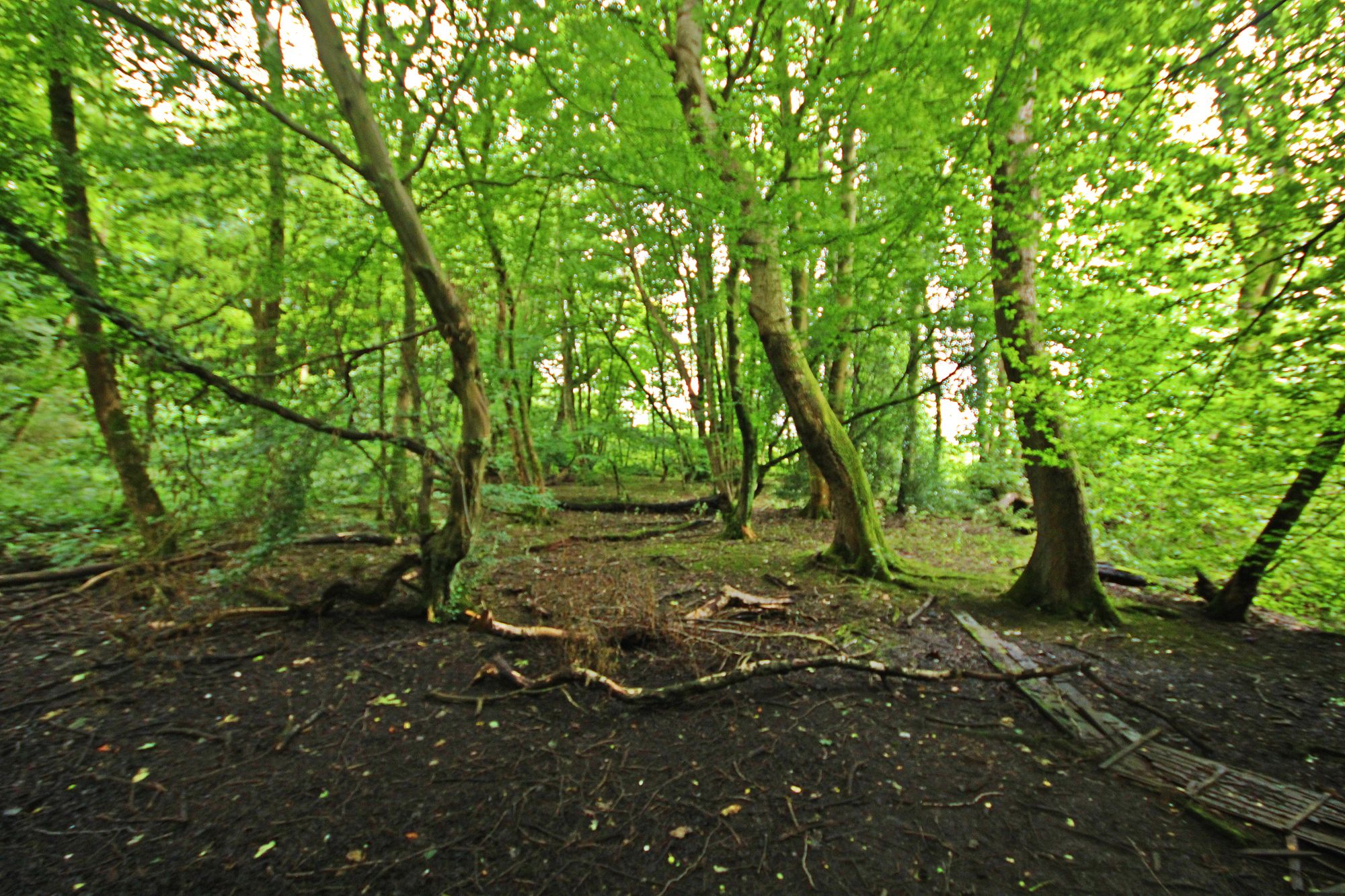 Land at the North side of, Warrington Road, Bold Heath