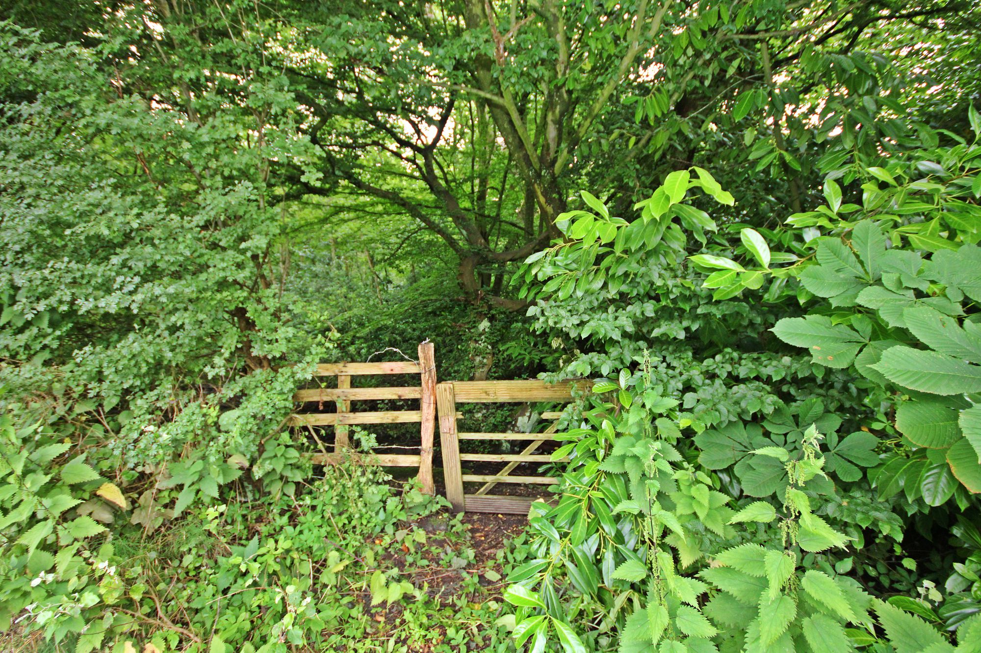 Land at the North side of, Warrington Road, Bold Heath