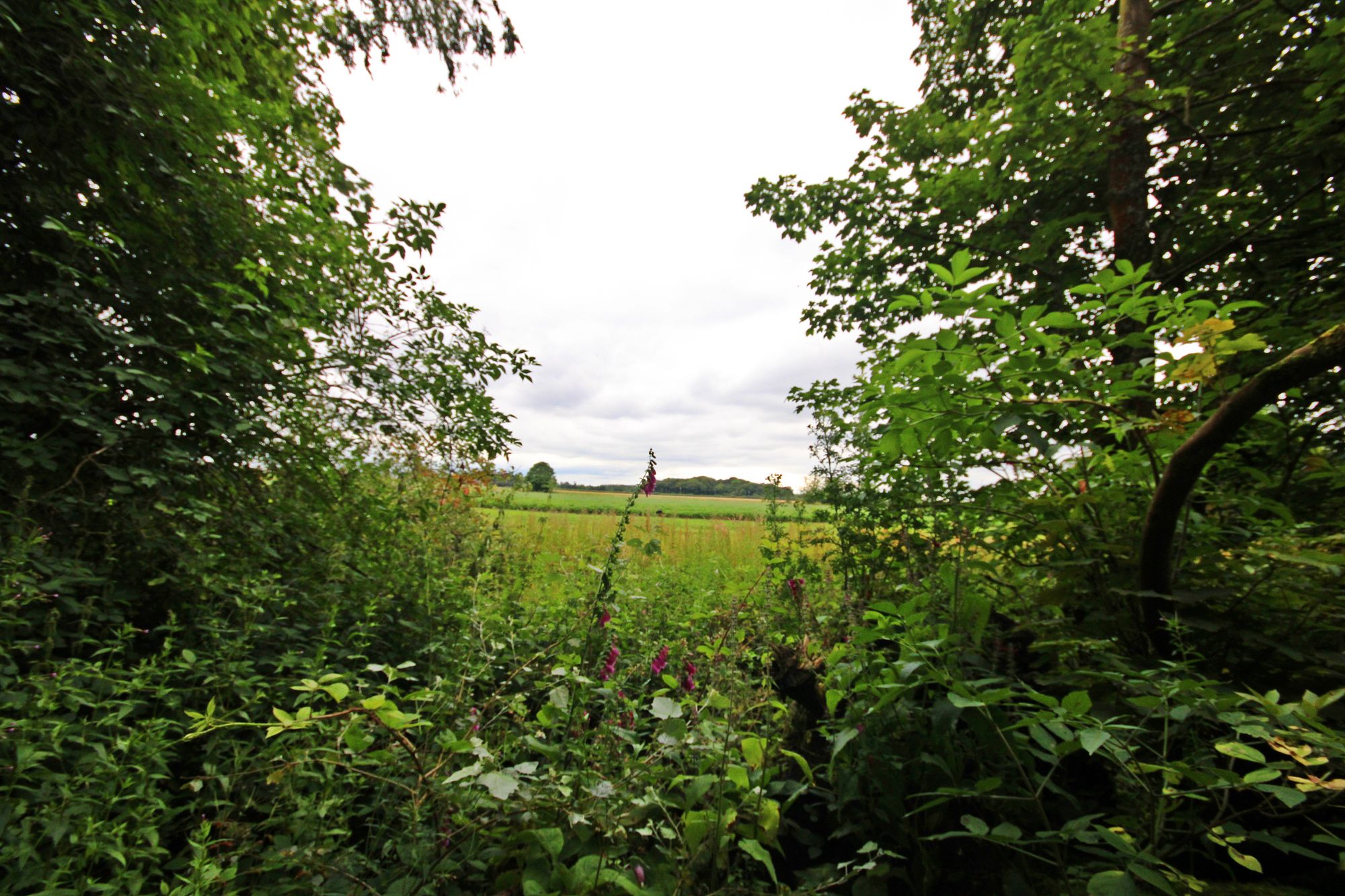 Land at the North side of, Warrington Road, Bold Heath