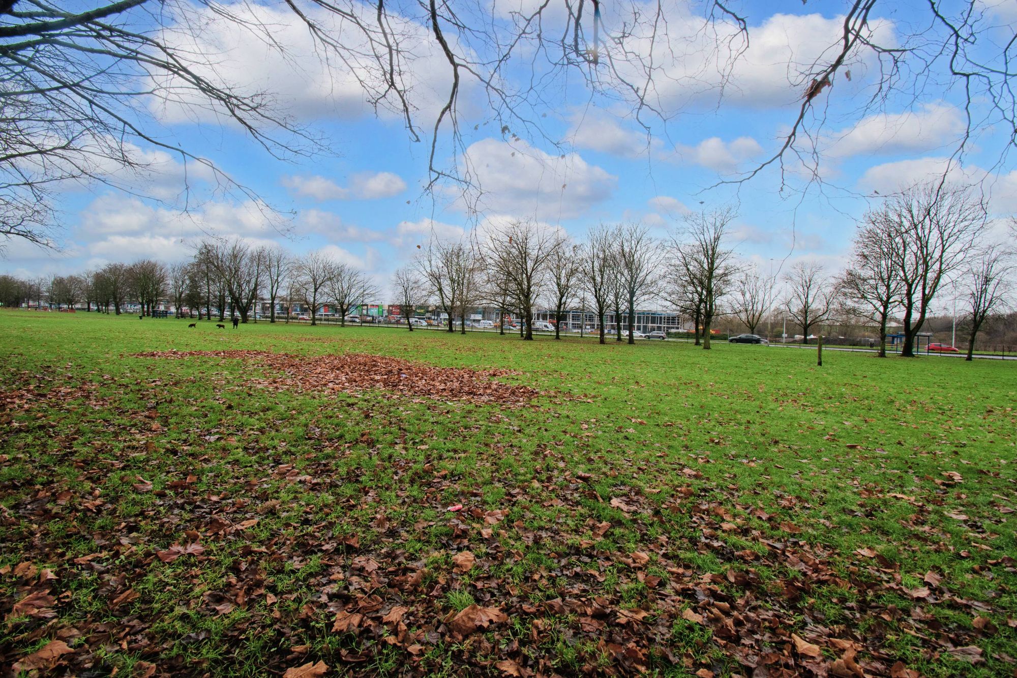 Winwick Road, Warrington