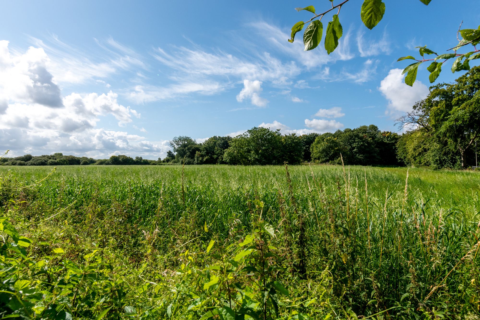 Walkers Lane, Sutton Manor, WA9