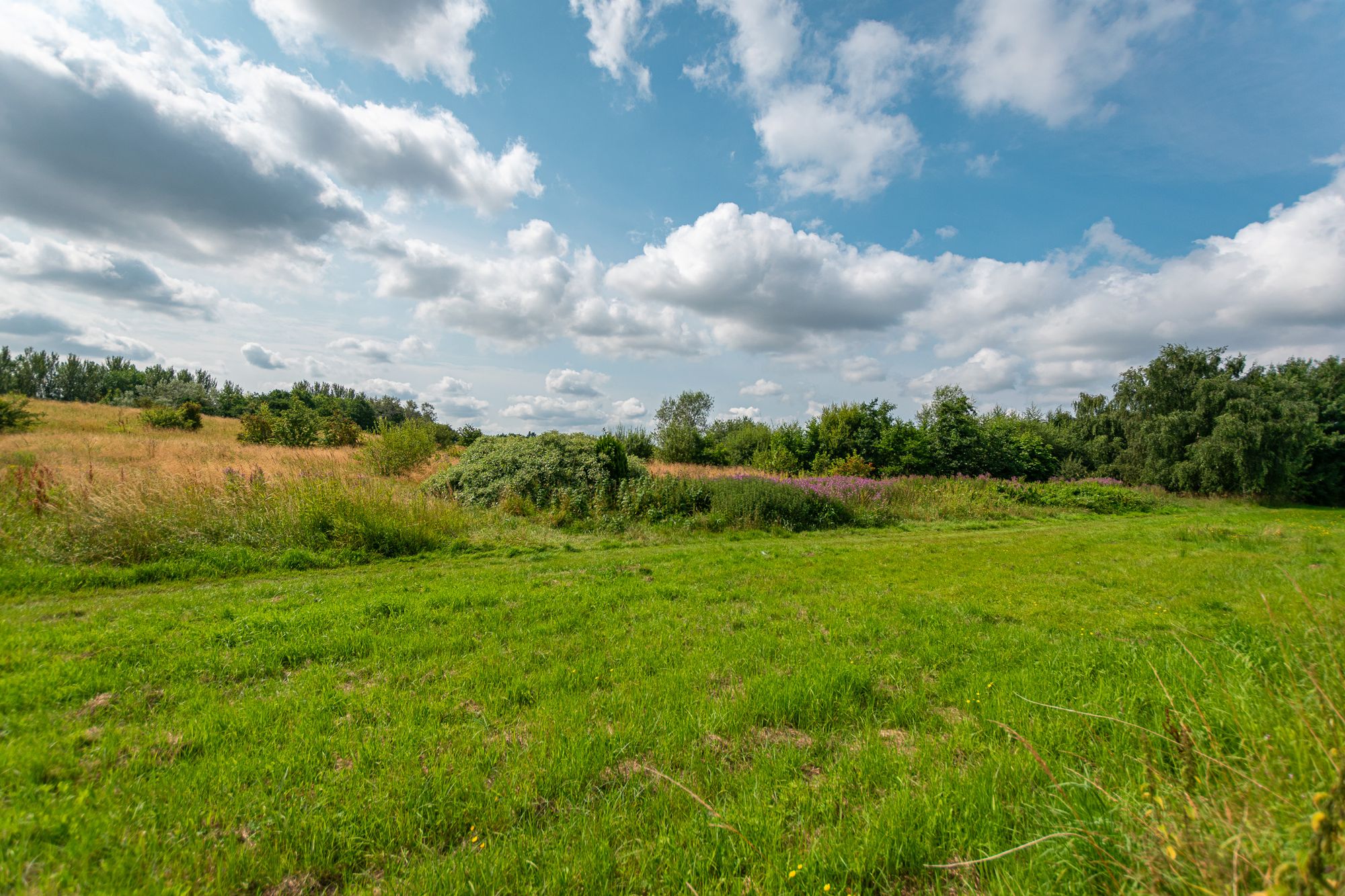 Suffolk Grove, Leigh