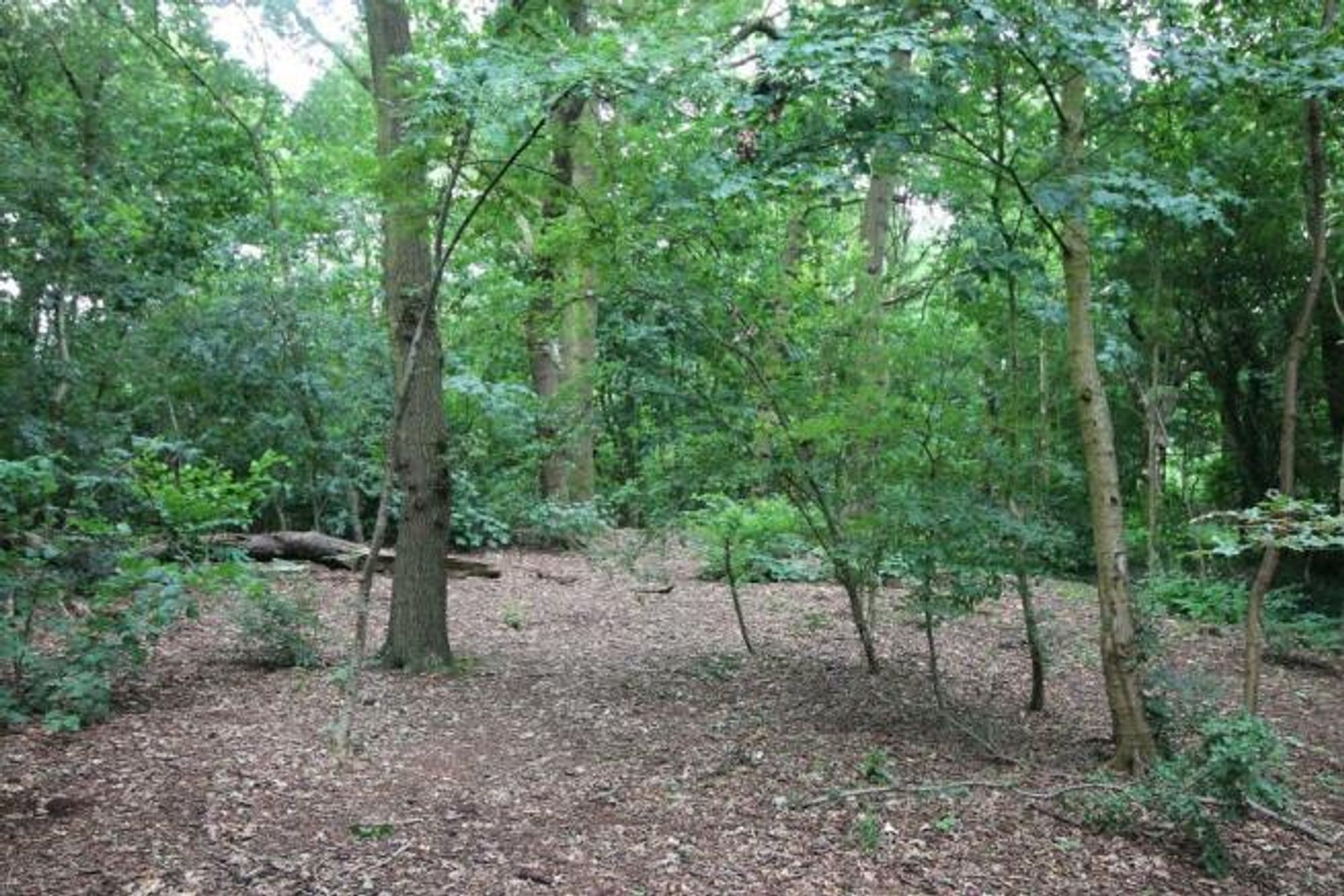 Volans Drive, Westbrook, WA5