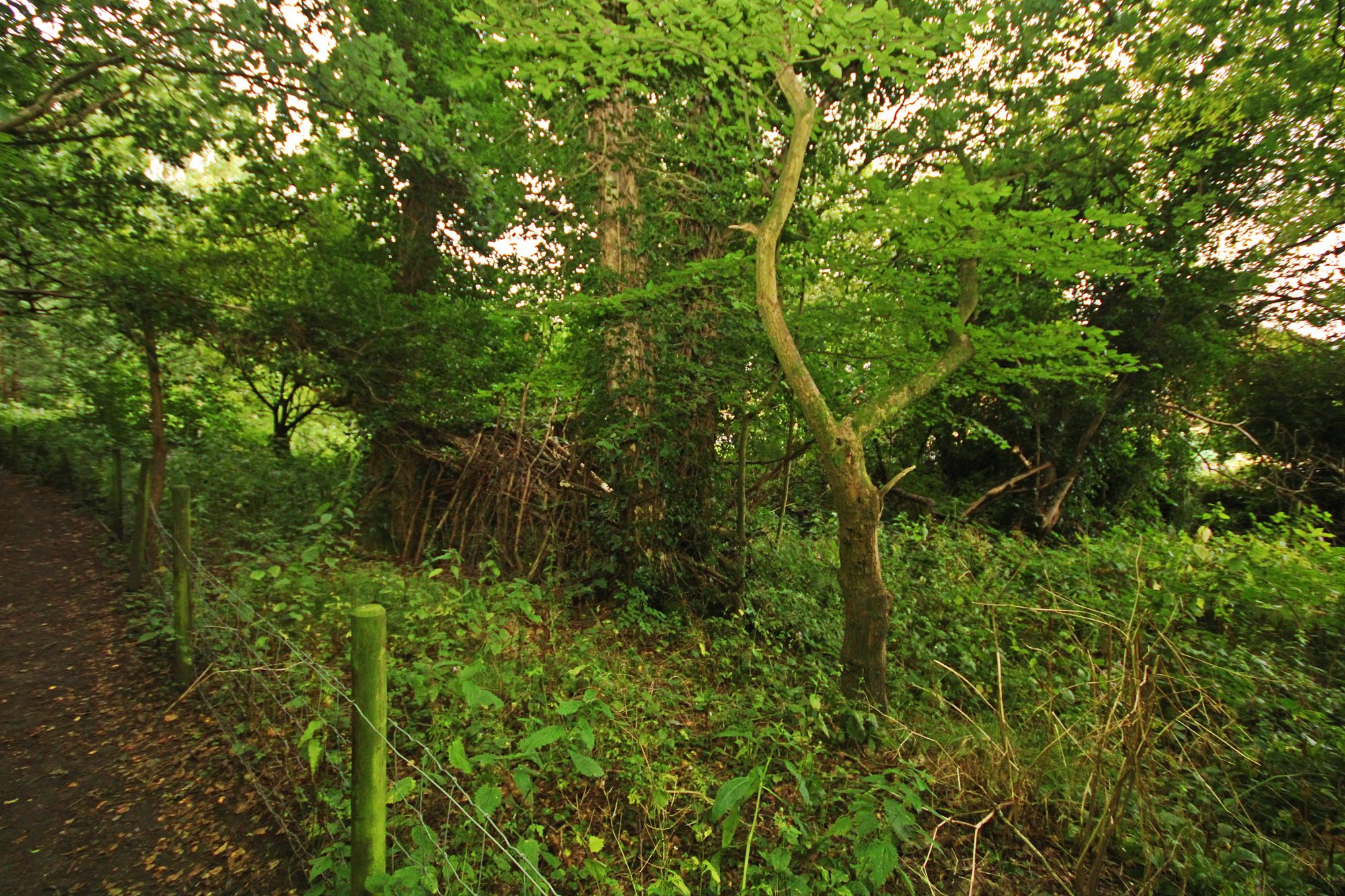 Land to the rear of, Winchester Avenue, Ashton in Makerfield