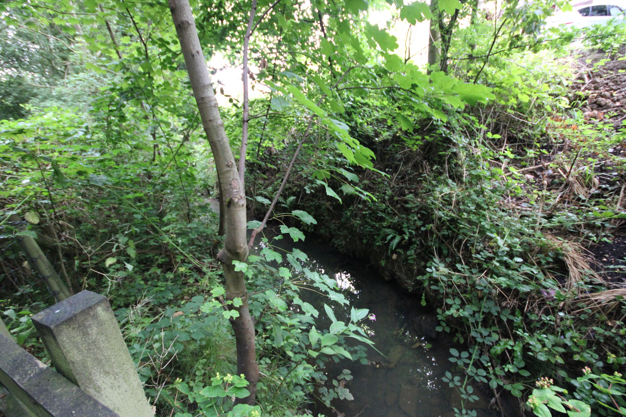 Land to the rear of, Winchester Avenue, Ashton in Makerfield