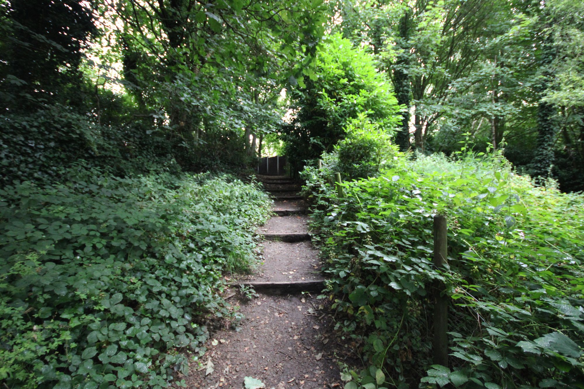 Land to the rear of, Winchester Avenue, Ashton in Makerfield