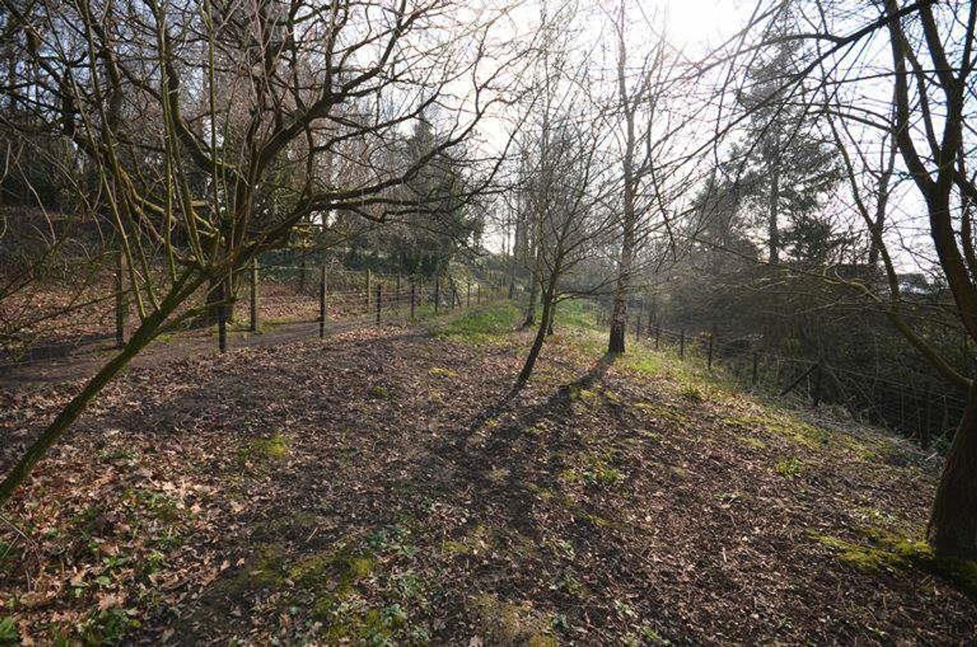 Land to the rear of, Winchester Avenue, Ashton in Makerfield