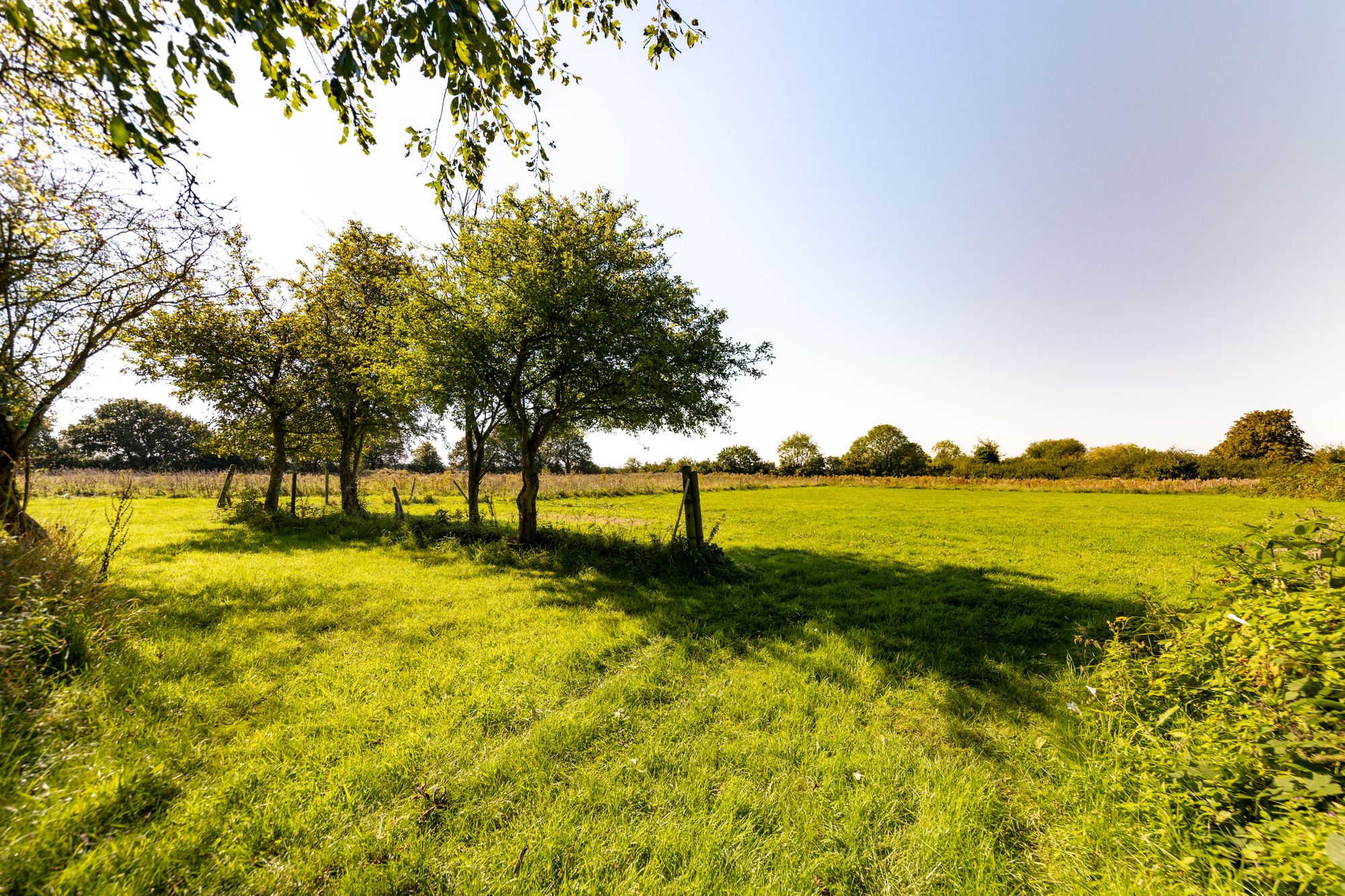 Chapel Lane, Cronton, WA8