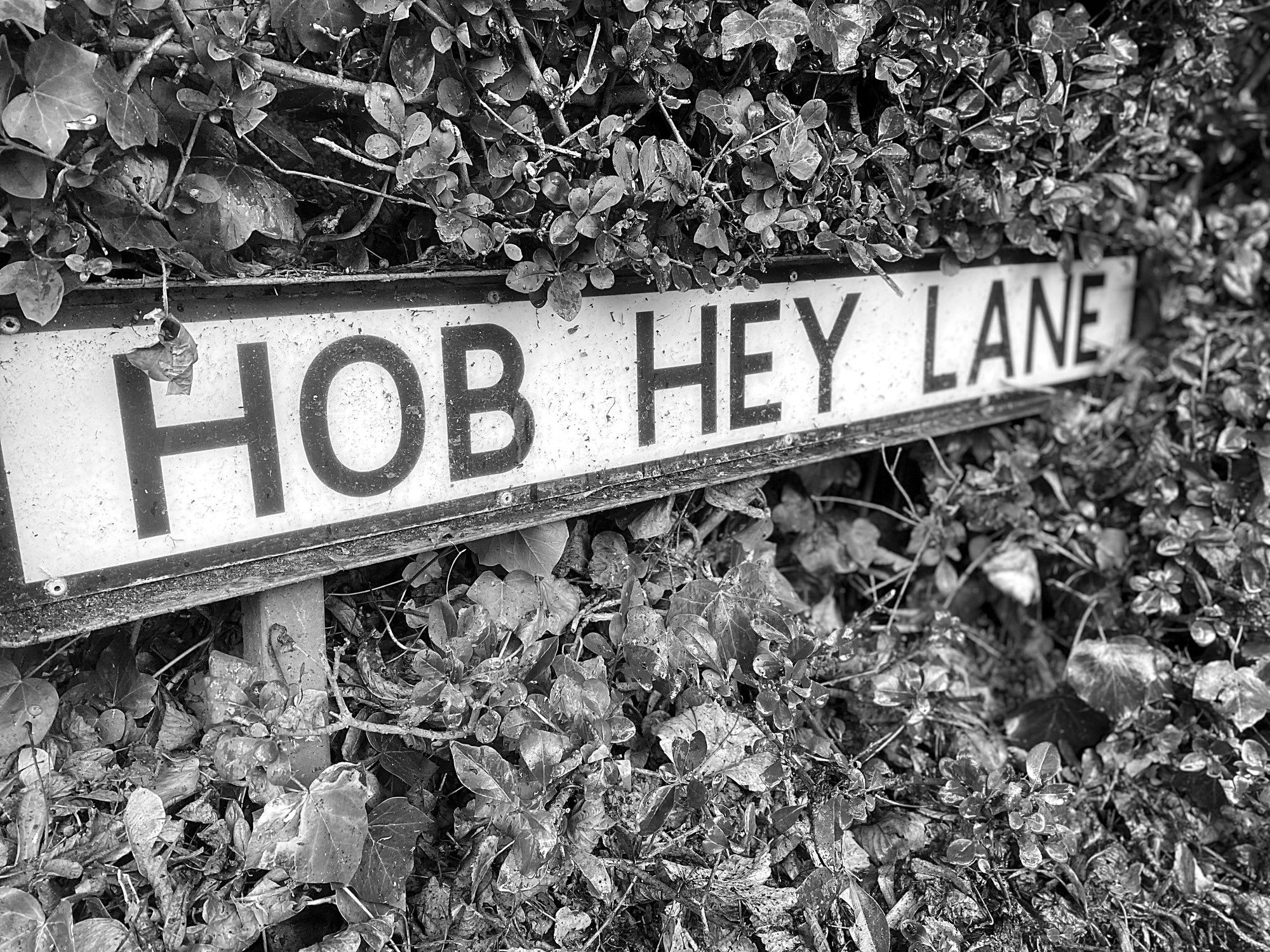 Hob Hey Lane, Culcheth Village