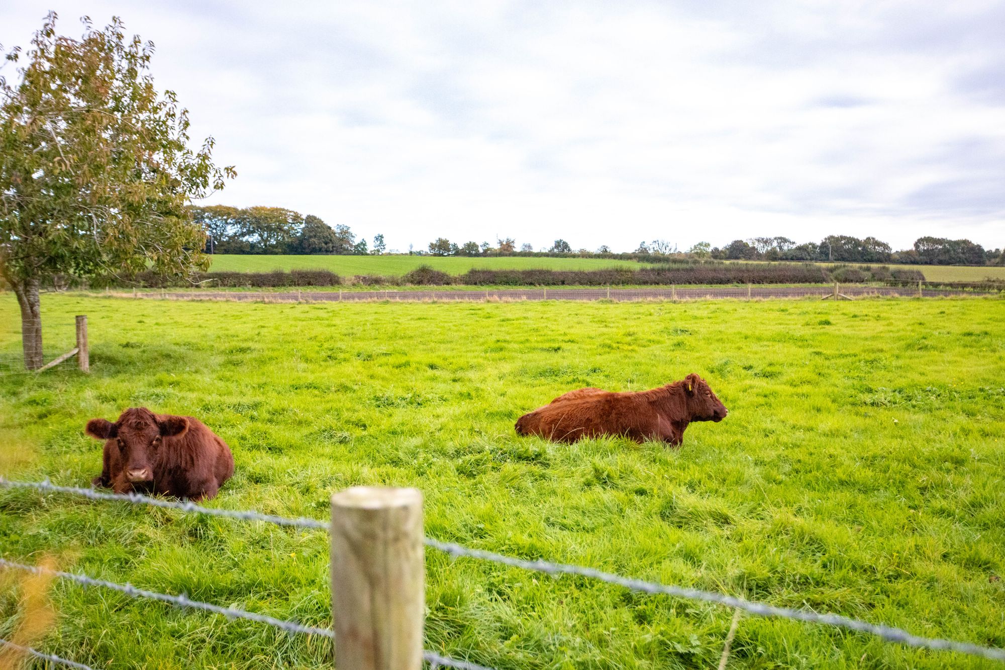 Street Lane, Lower Whitley, WA4