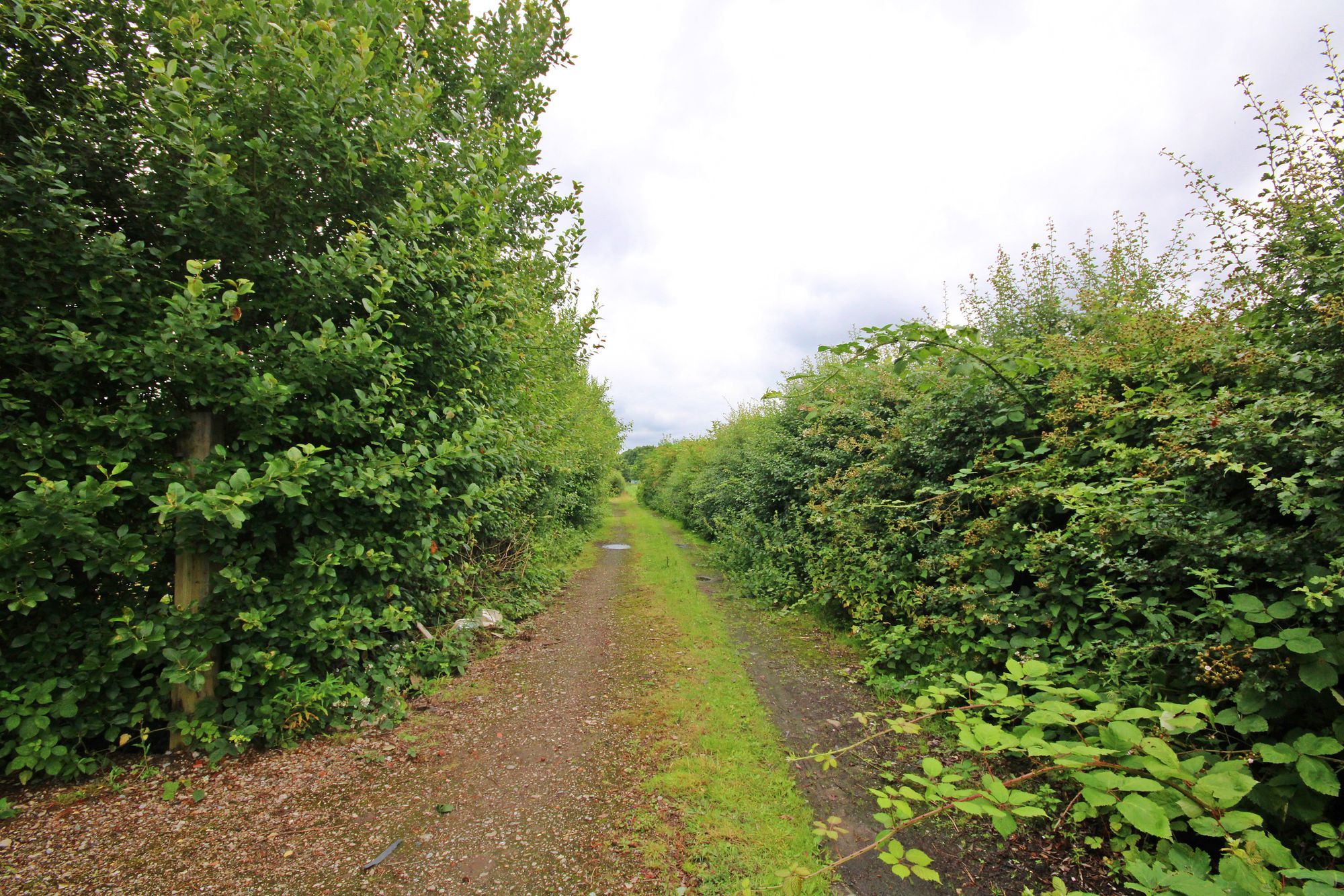 Naylors Road, Knowlsey, L27