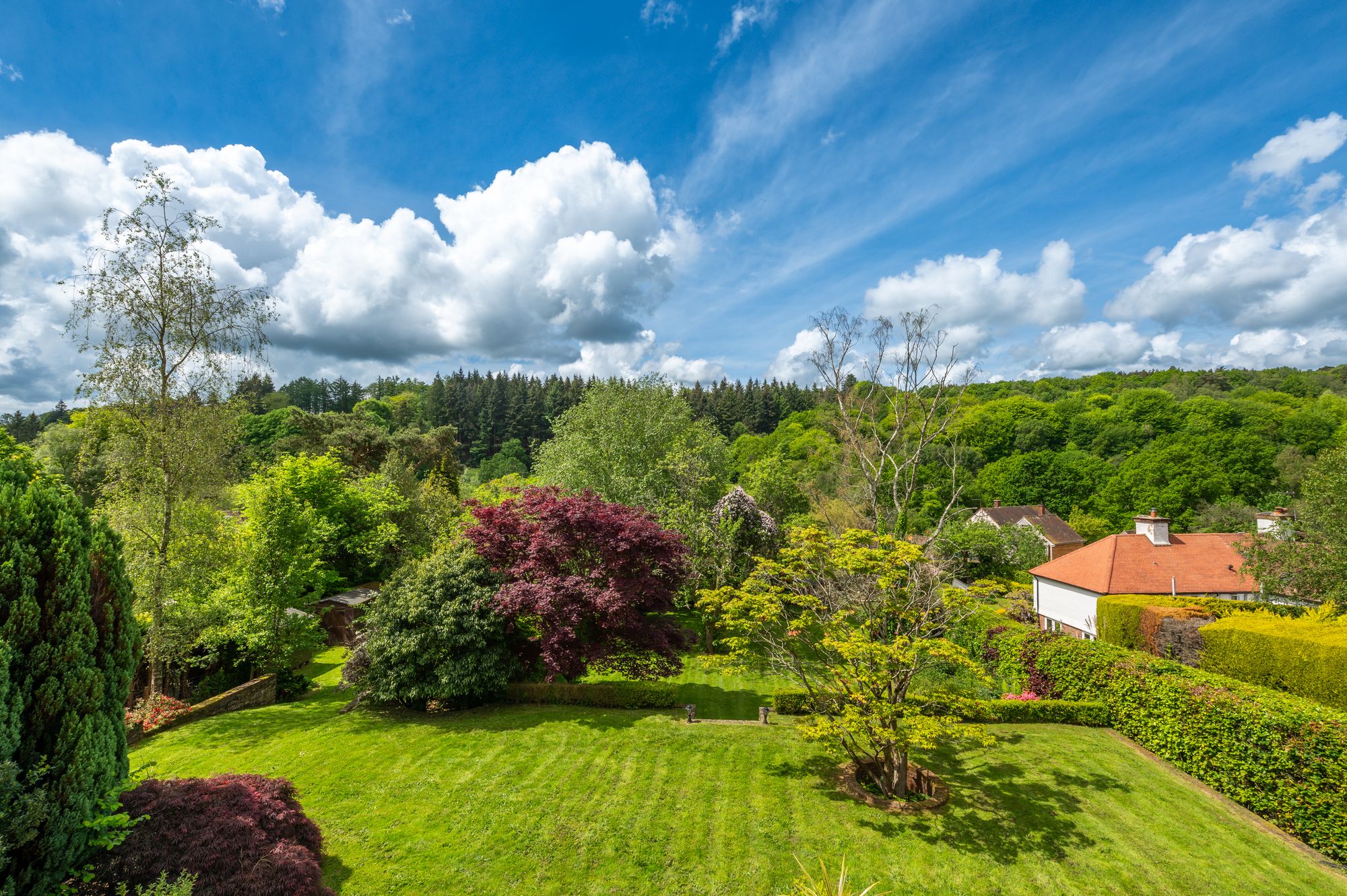 Midhurst Road, Haslemere, GU27 images