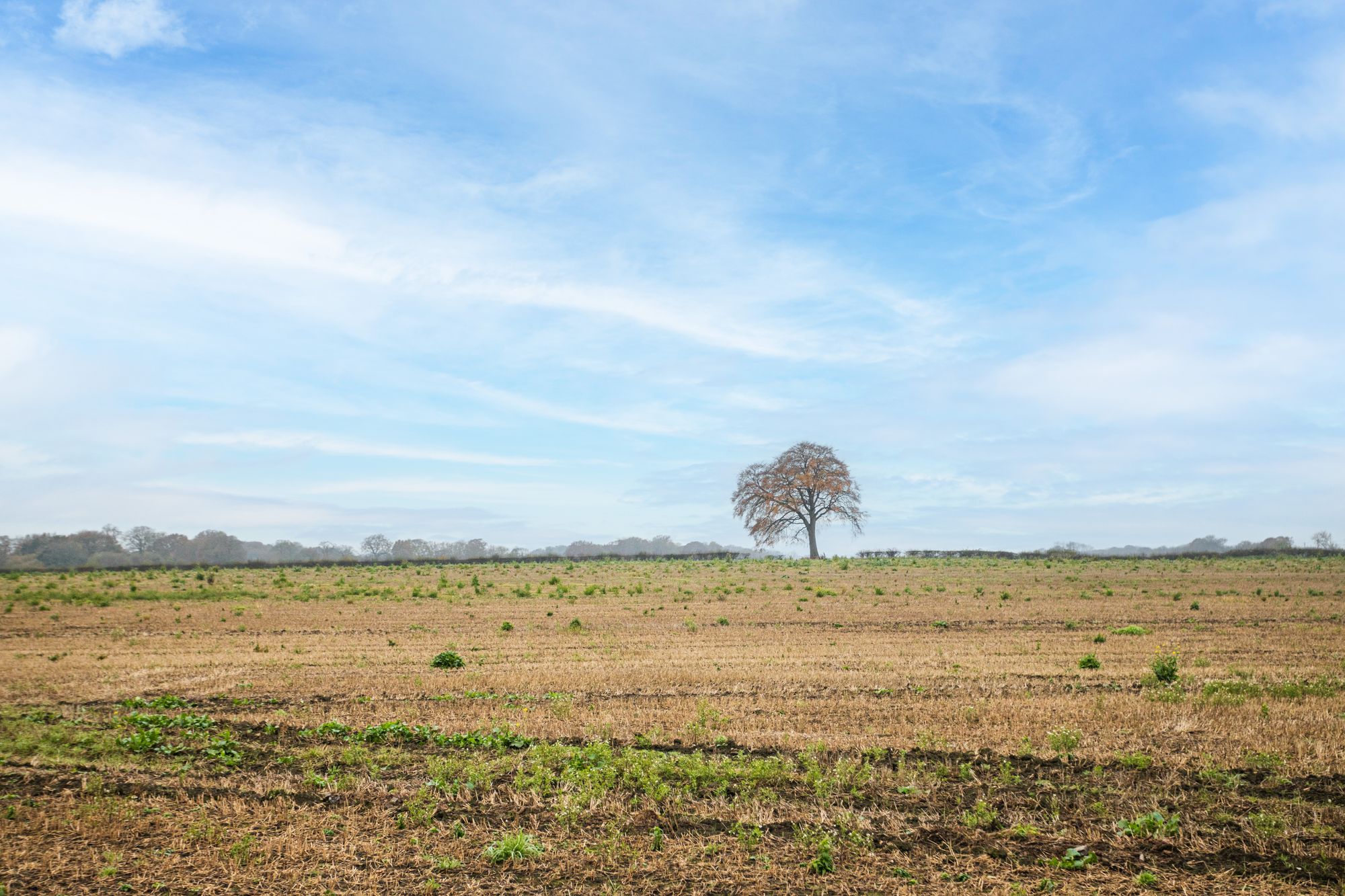 Warrington Road, Glazebury, WA3