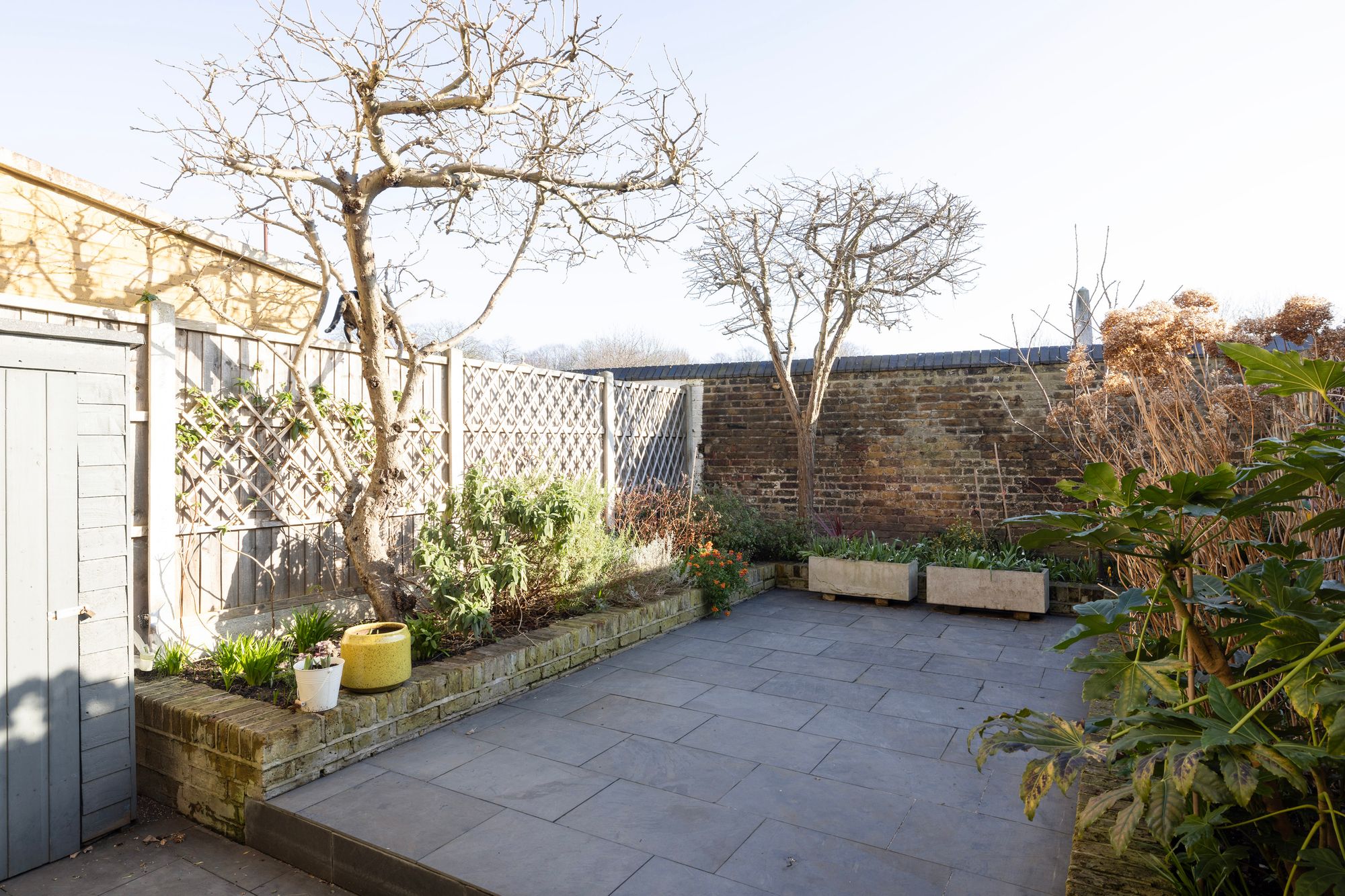 Story Of Home Garden Gough Road Forest Gate E15 2