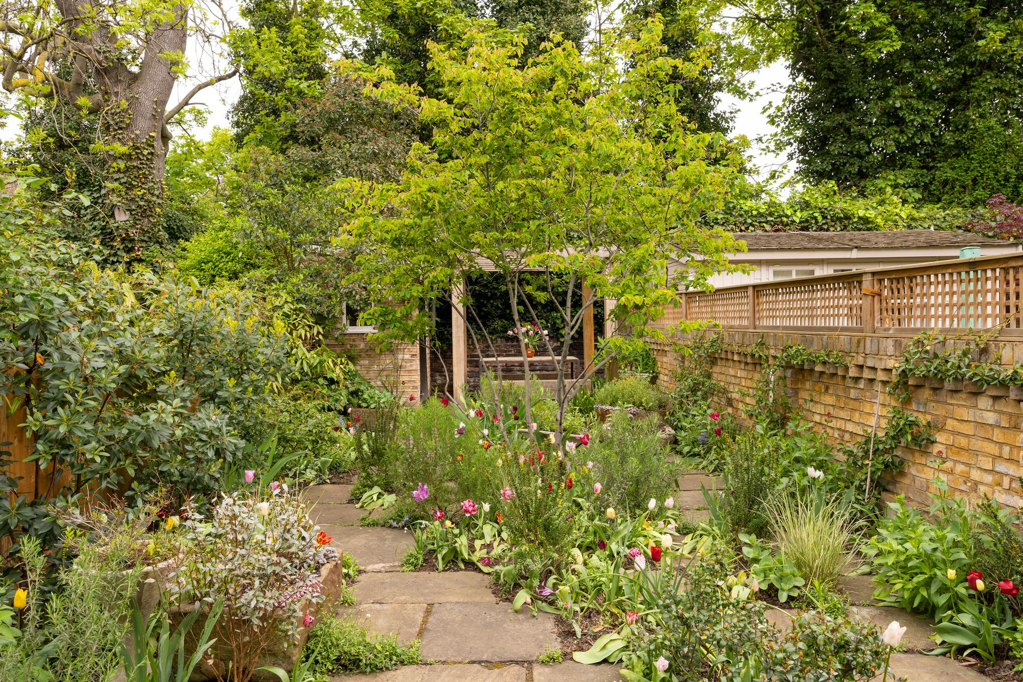 SOH 17 Ritson Road 26