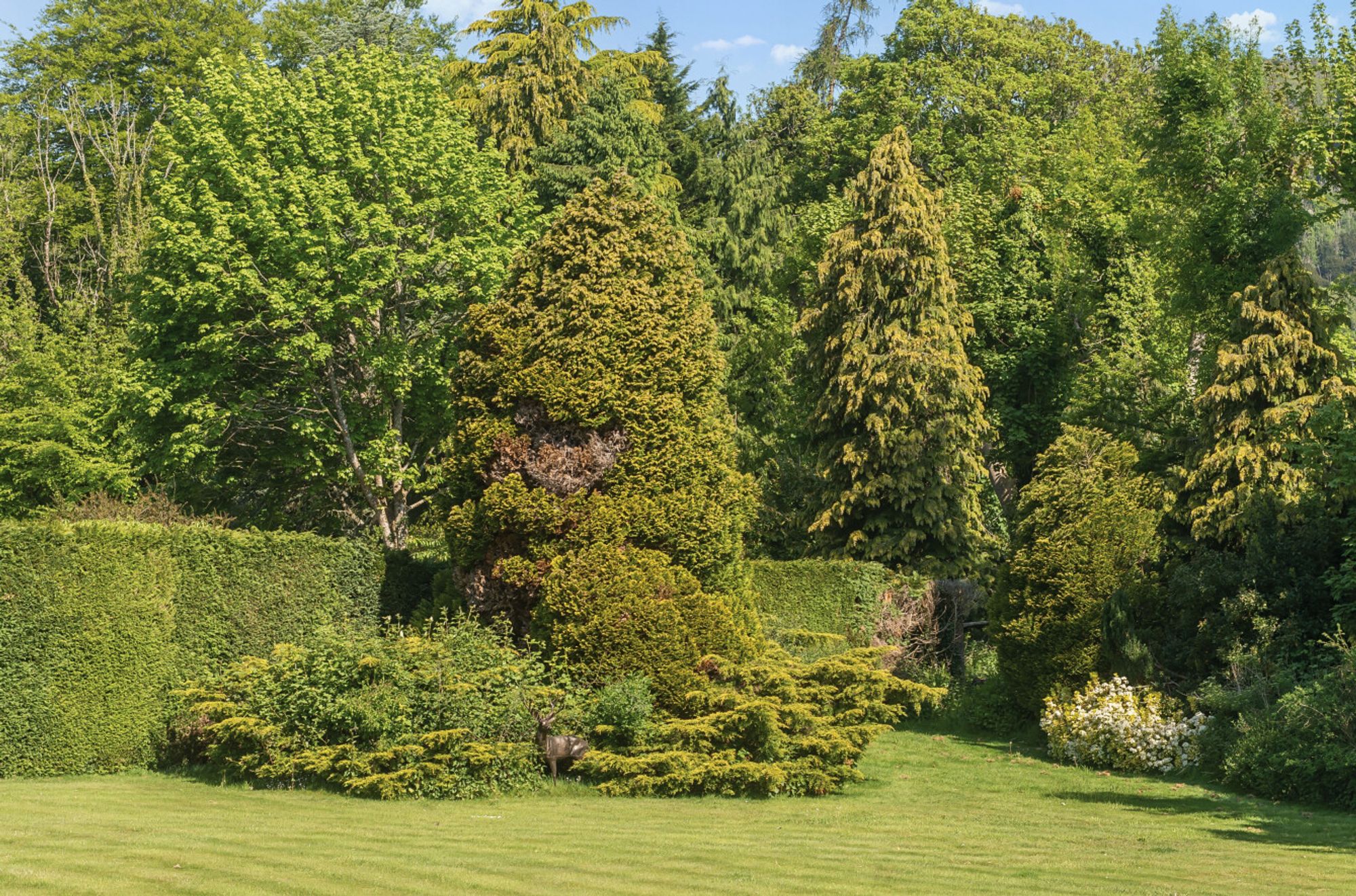 Steep, Petersfield, GU32 images