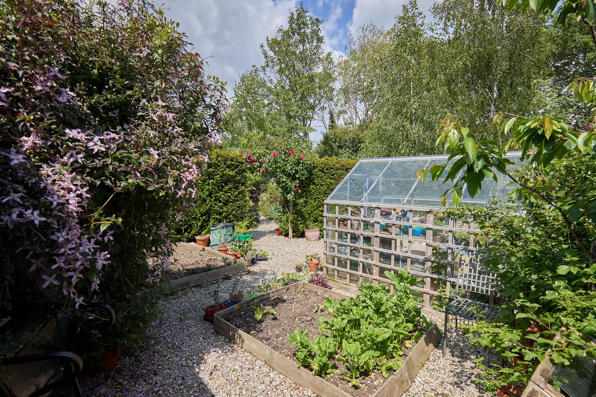 Garden