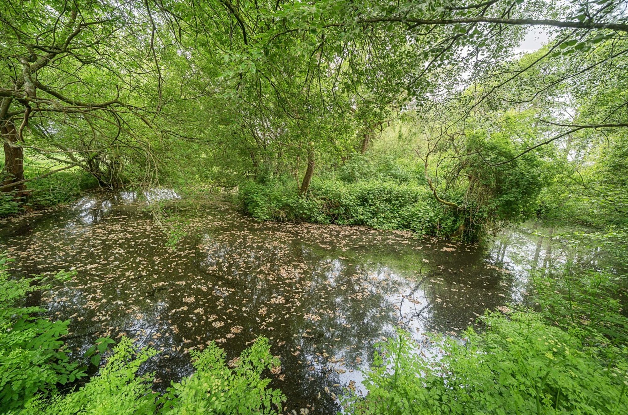 Rackham, Pulborough, RH20 images