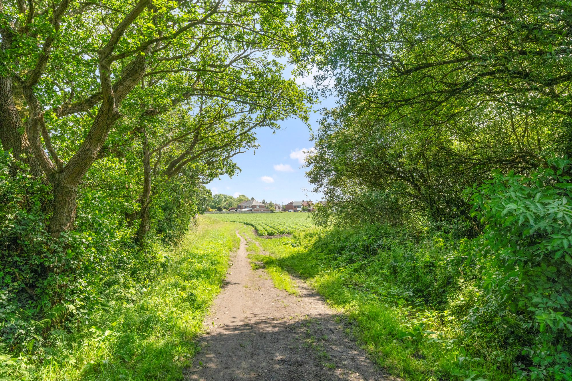 Ecclesfield Road, St. Helens