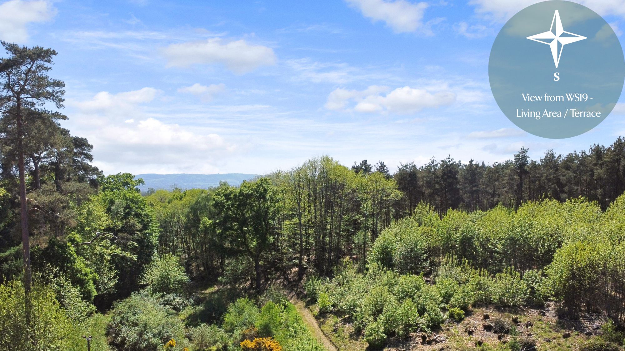 Kings Drive, Midhurst, GU29 images