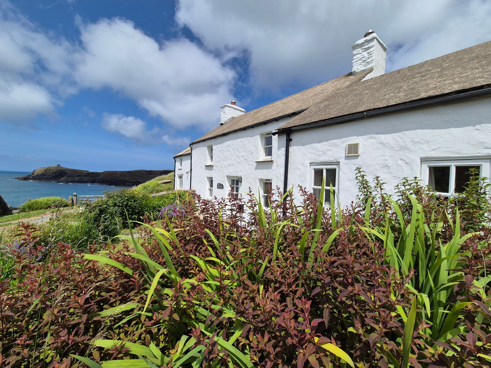 Berea, Abereiddy, SA62