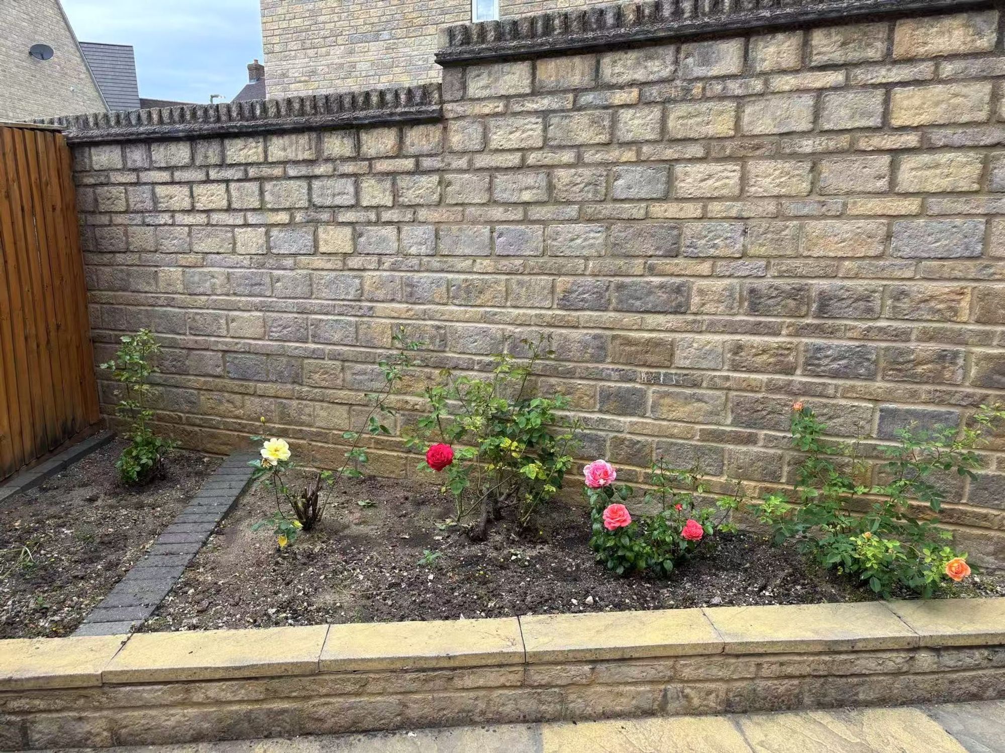 Flower Border