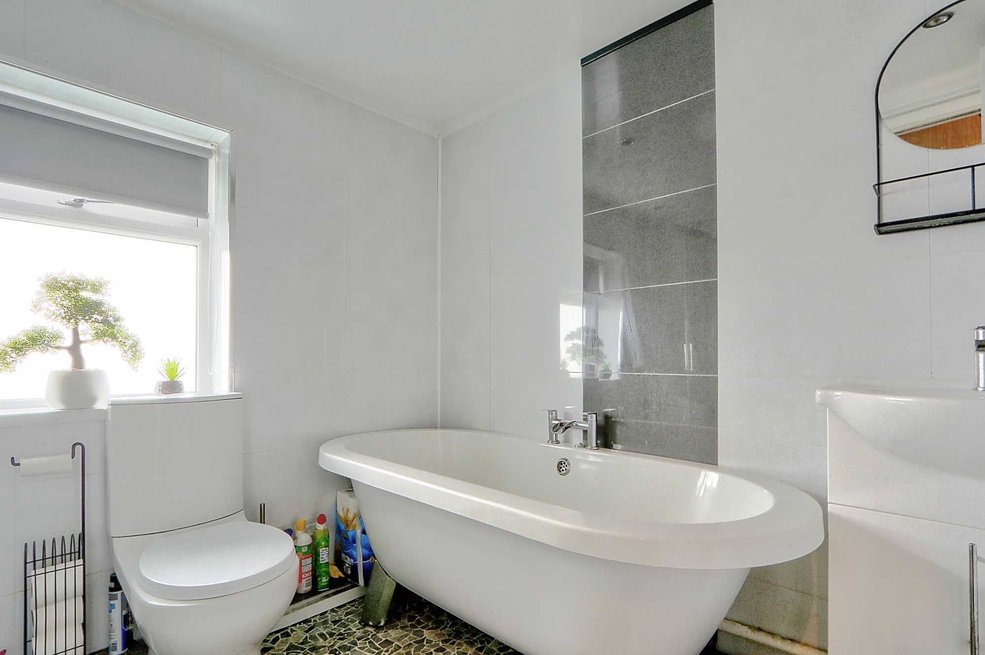 _MG_1776_7_8_Enhancer