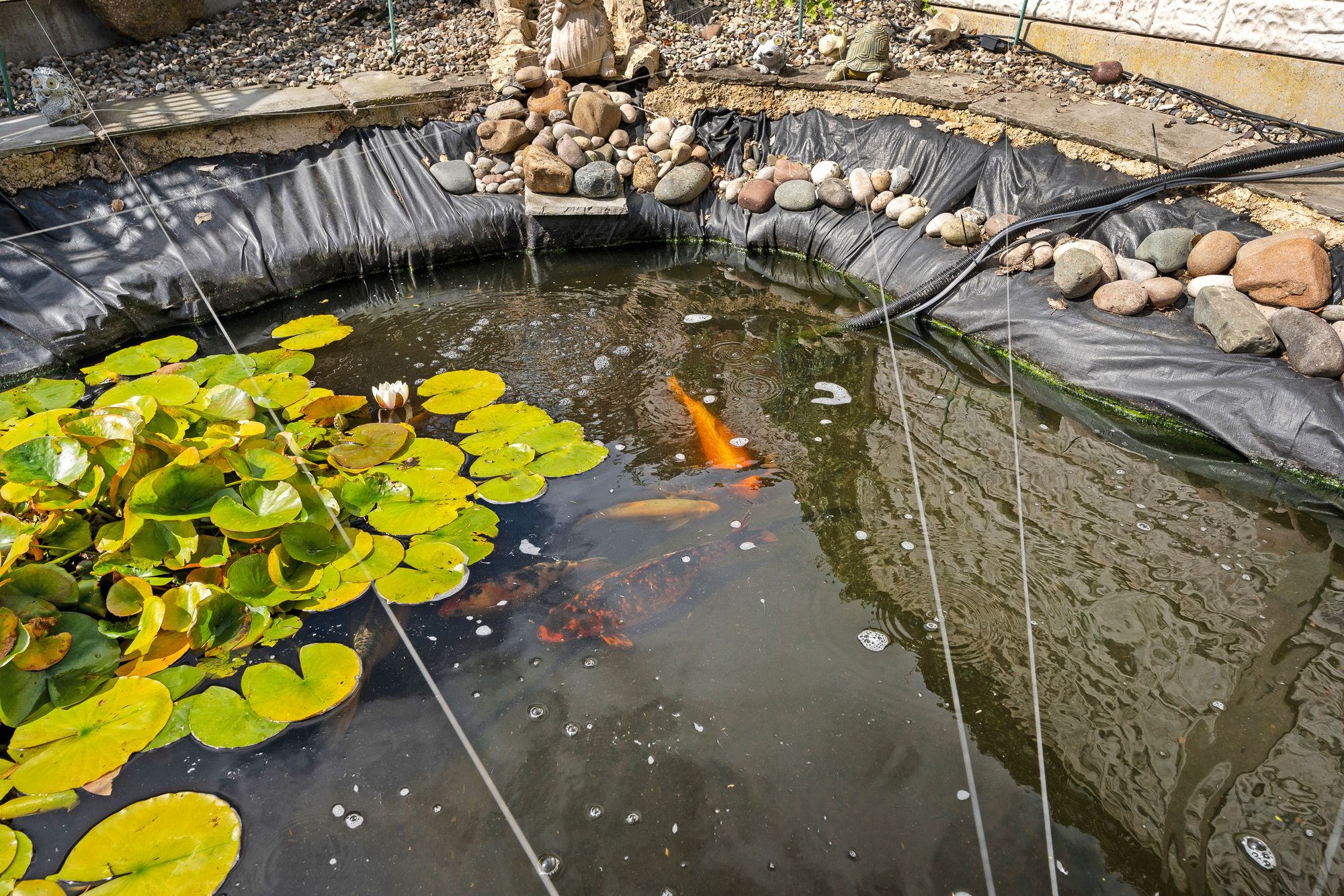 Claremont Drive, Widnes