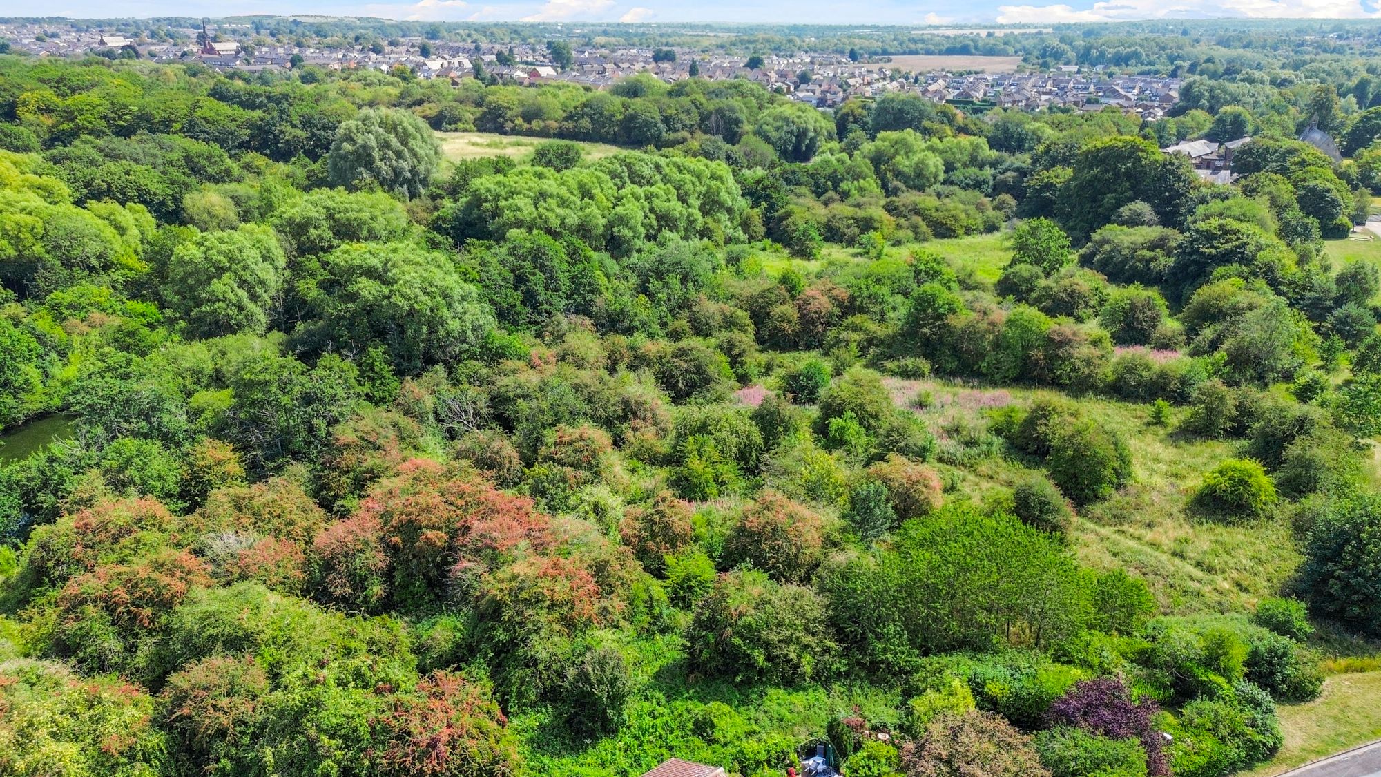 Renfrew Avenue, St. Helens