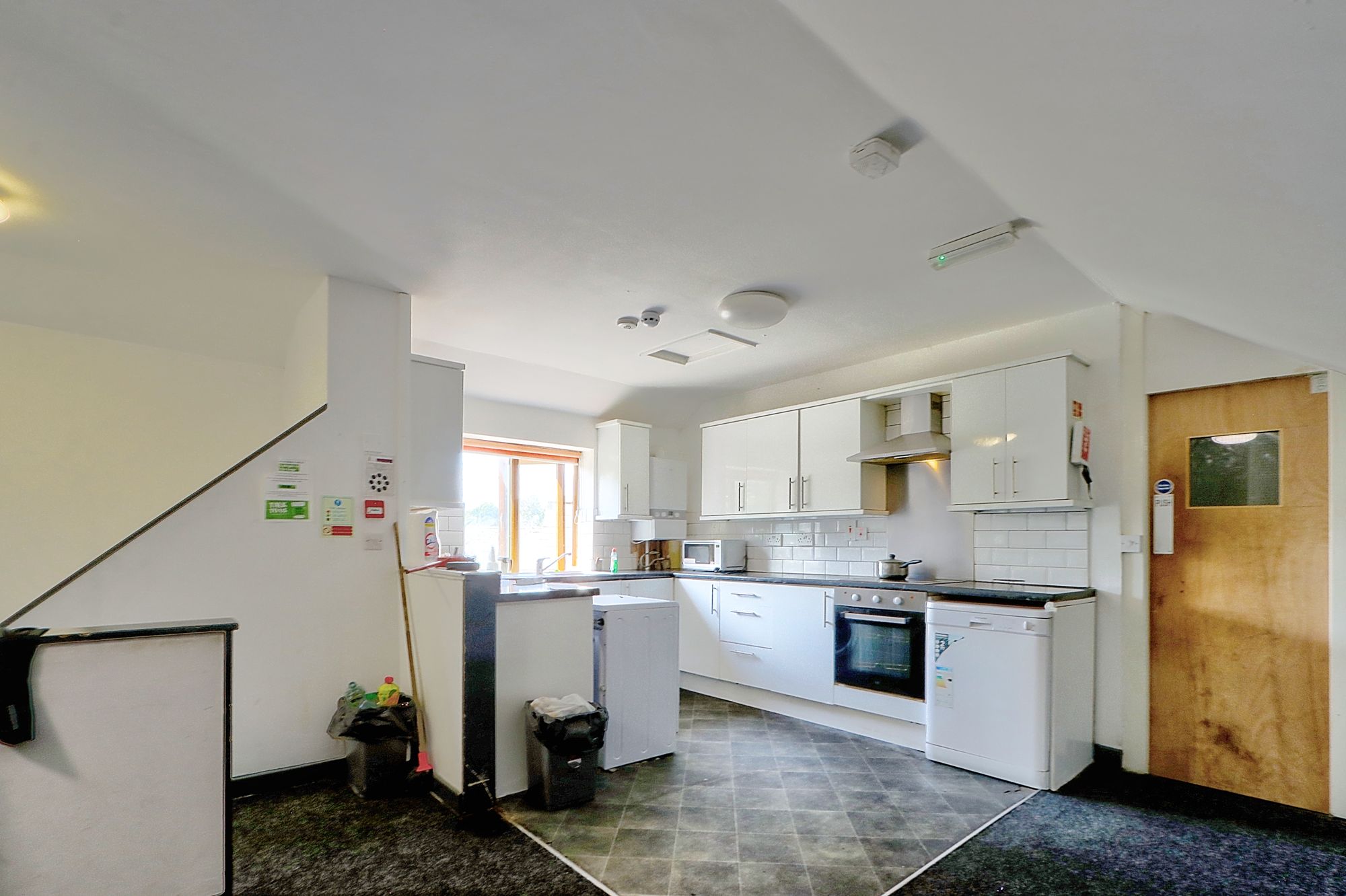 _MG_1229_30_31_Enhancer