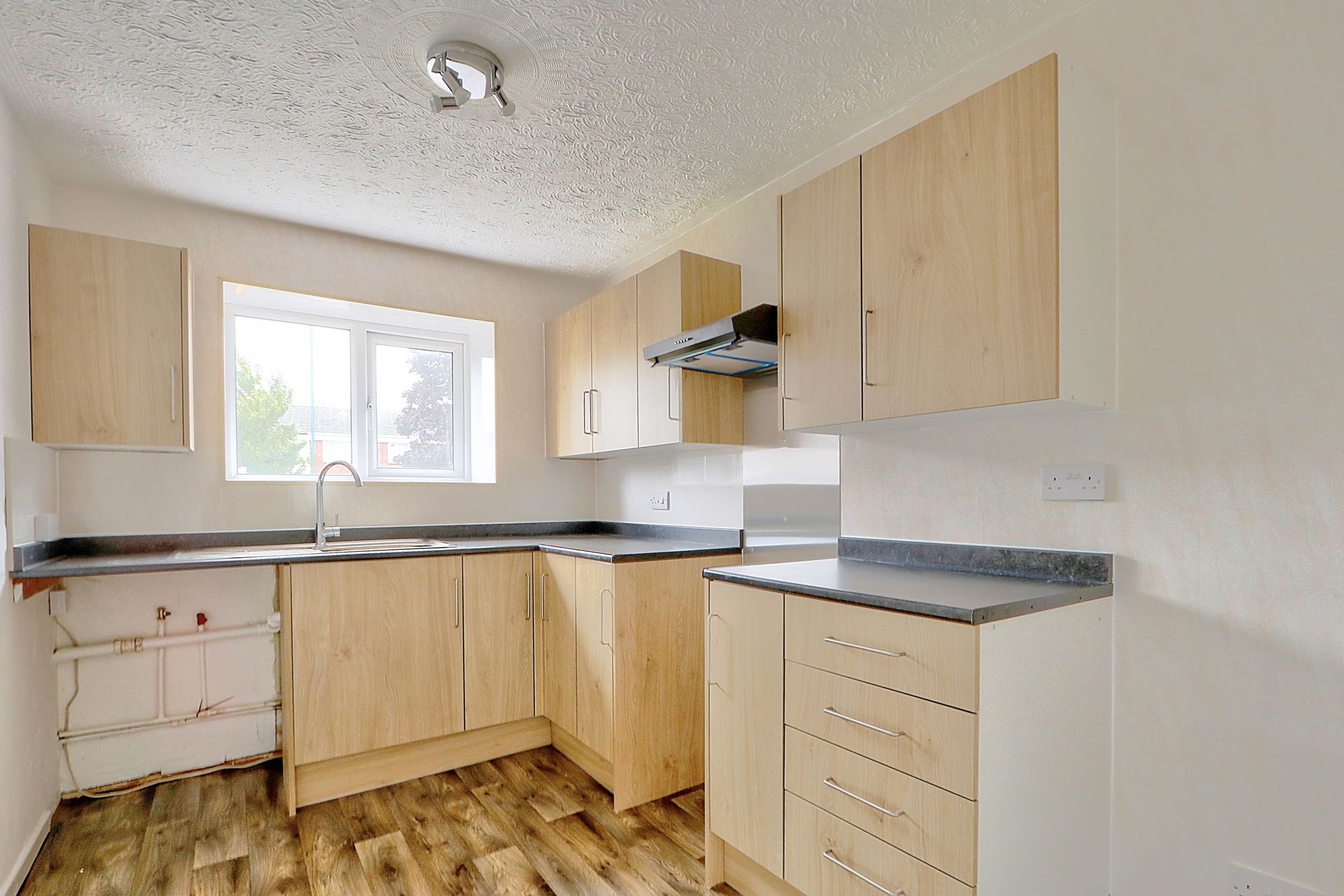 _MG_2550_1_2_Enhancer