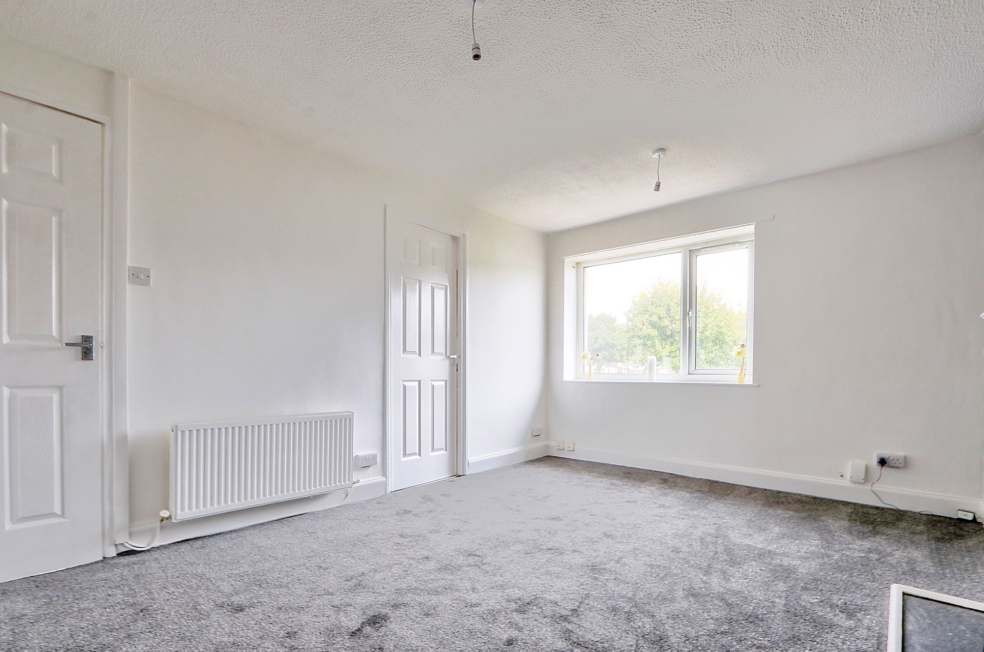 _MG_2571_2_3_Enhancer