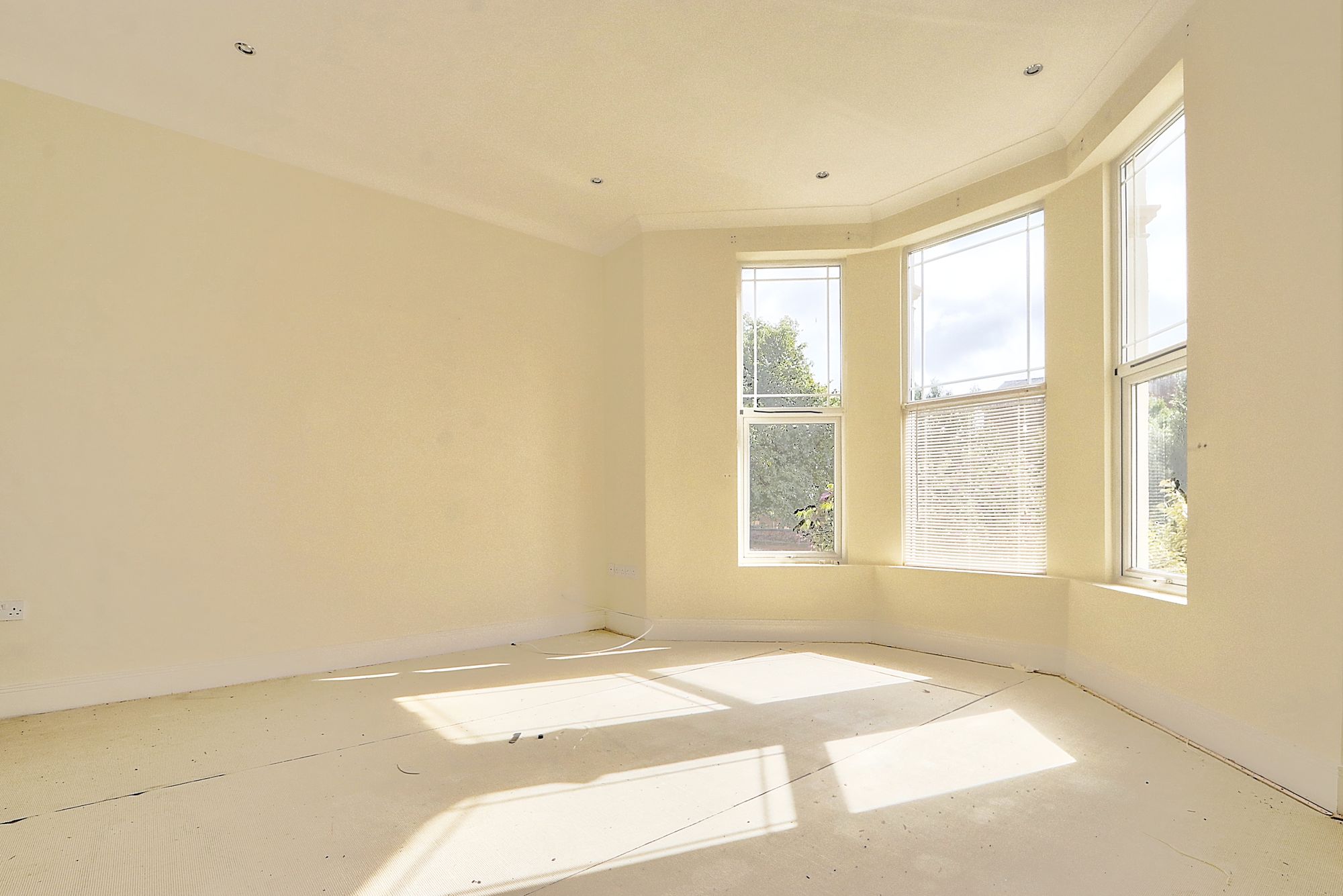 _MG_1364_5_6_Enhancer